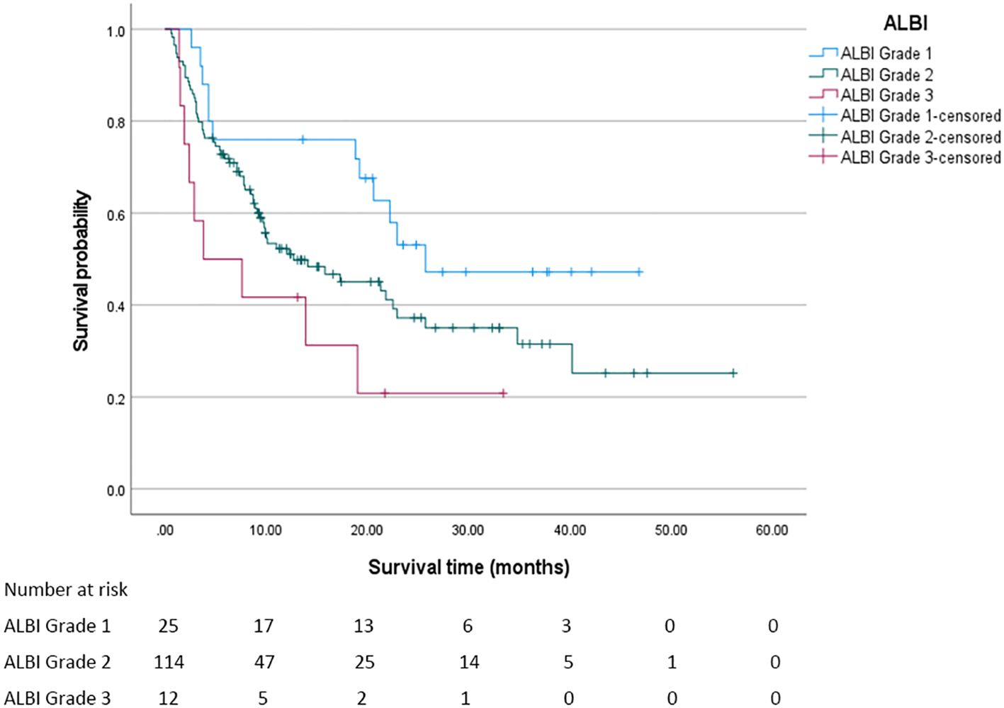 Kaplan-Meier survival curves showing survival probability over time for three ALBI grades. Grade 1 (blue) has the highest survival, followed by Grade 2 (green), and Grade 3 (red) has the lowest. Censored data points are marked with crosses. A table below shows the number at risk for each grade at various time points.