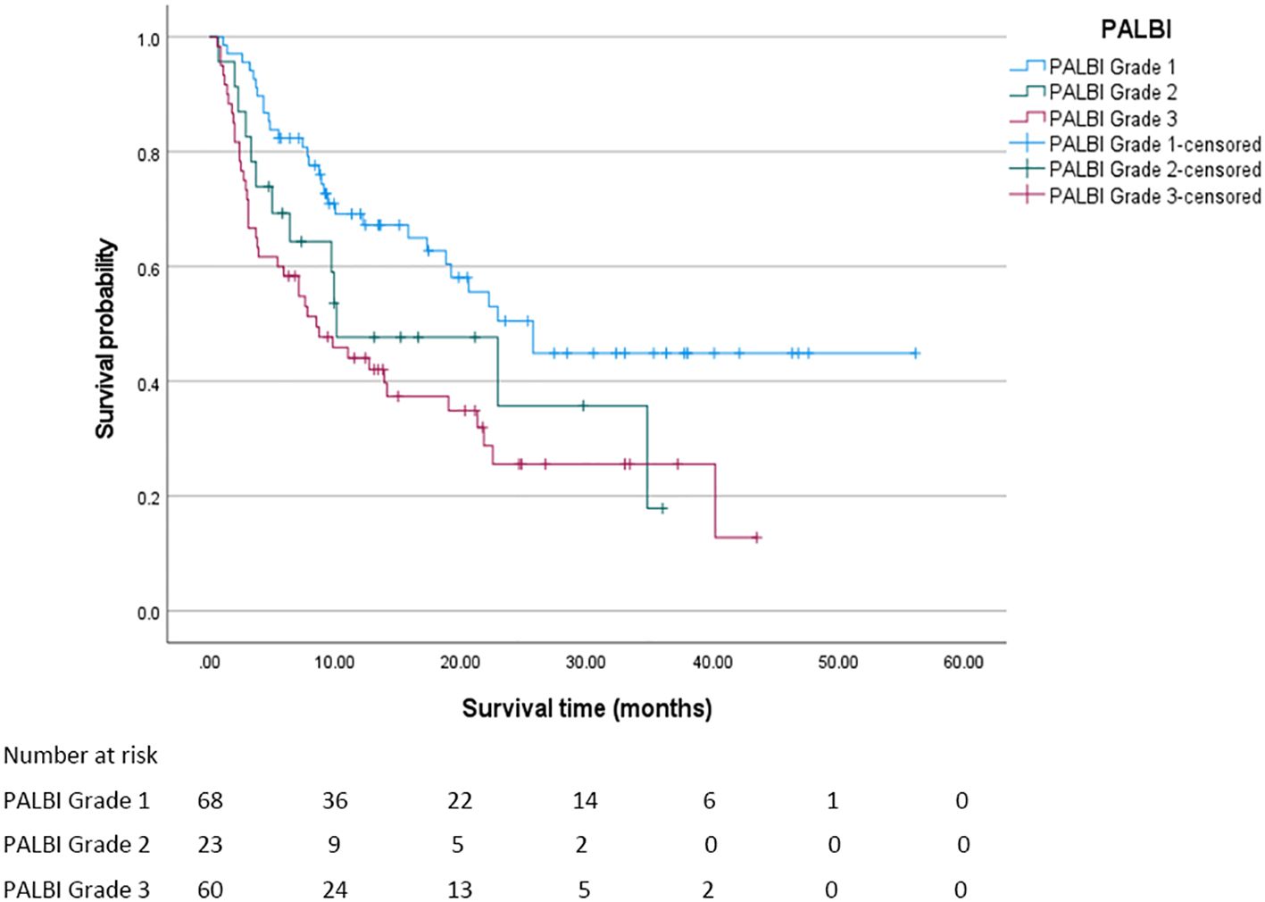Kaplan-Meier survival curves show survival probabilities over 60 months for PALBI Grades 1, 2, and 3. Grade 1 has the highest survival probability, followed by Grade 2 and Grade 3. Censoring is indicated with plus signs. A table below lists the number at risk for each grade at different time points.