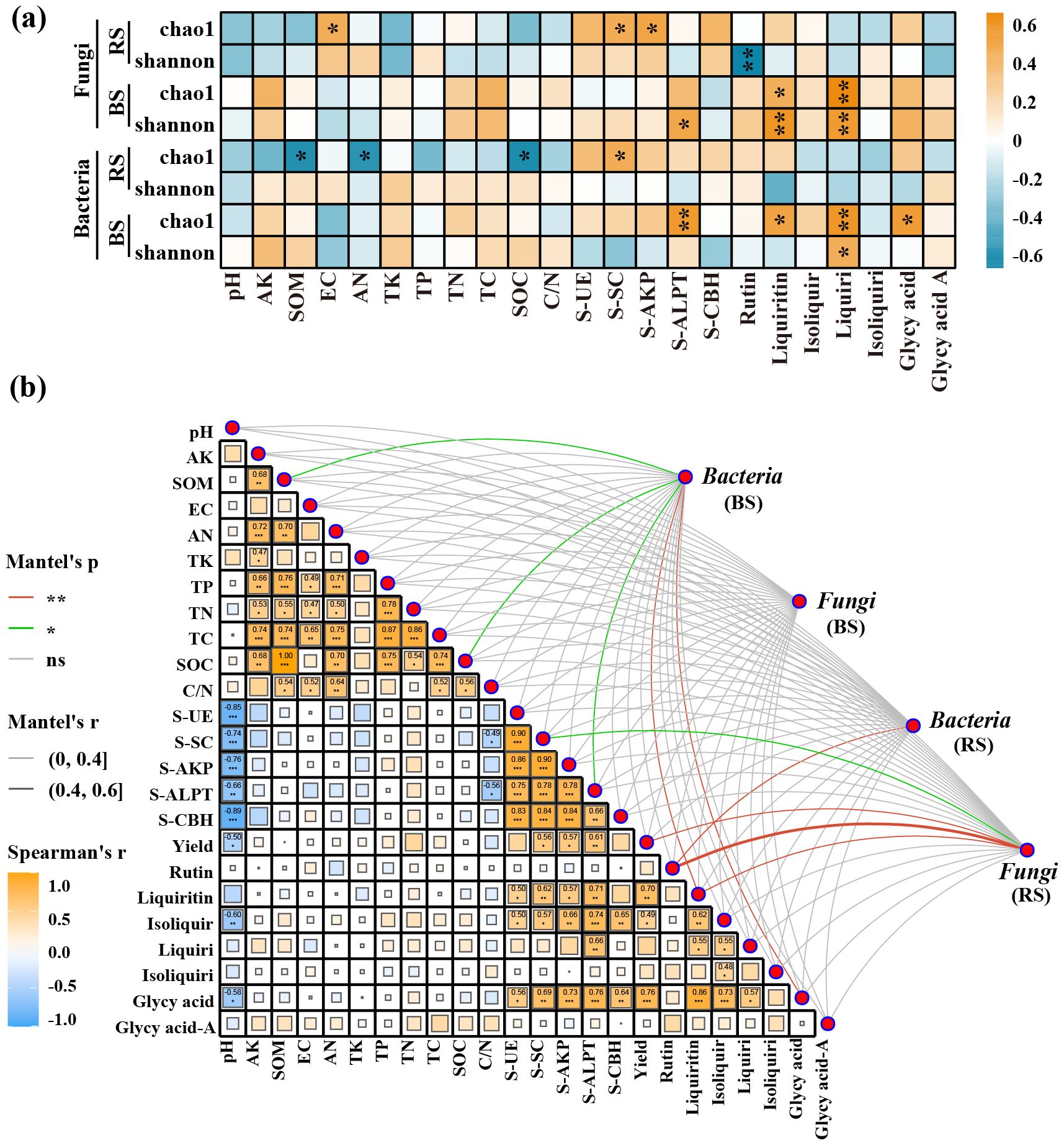 Diagram illustrating two panels, (a) and (b). Panel (a) is a heatmap showing the correlation between microbial diversity indices (Chao1 and Shannon) for fungi and bacteria across various environmental factors. Colors range from blue to orange, indicating correlation strength. Asterisks denote significance levels. Panel (b) combines a heatmap and network diagram, displaying Spearman's correlation among variables and their connections to bacteria and fungi groups. Colored lines represent Mantel's p-values with different significance levels shown by line color. The diagram provides insight into microbial and environmental variable relationships.