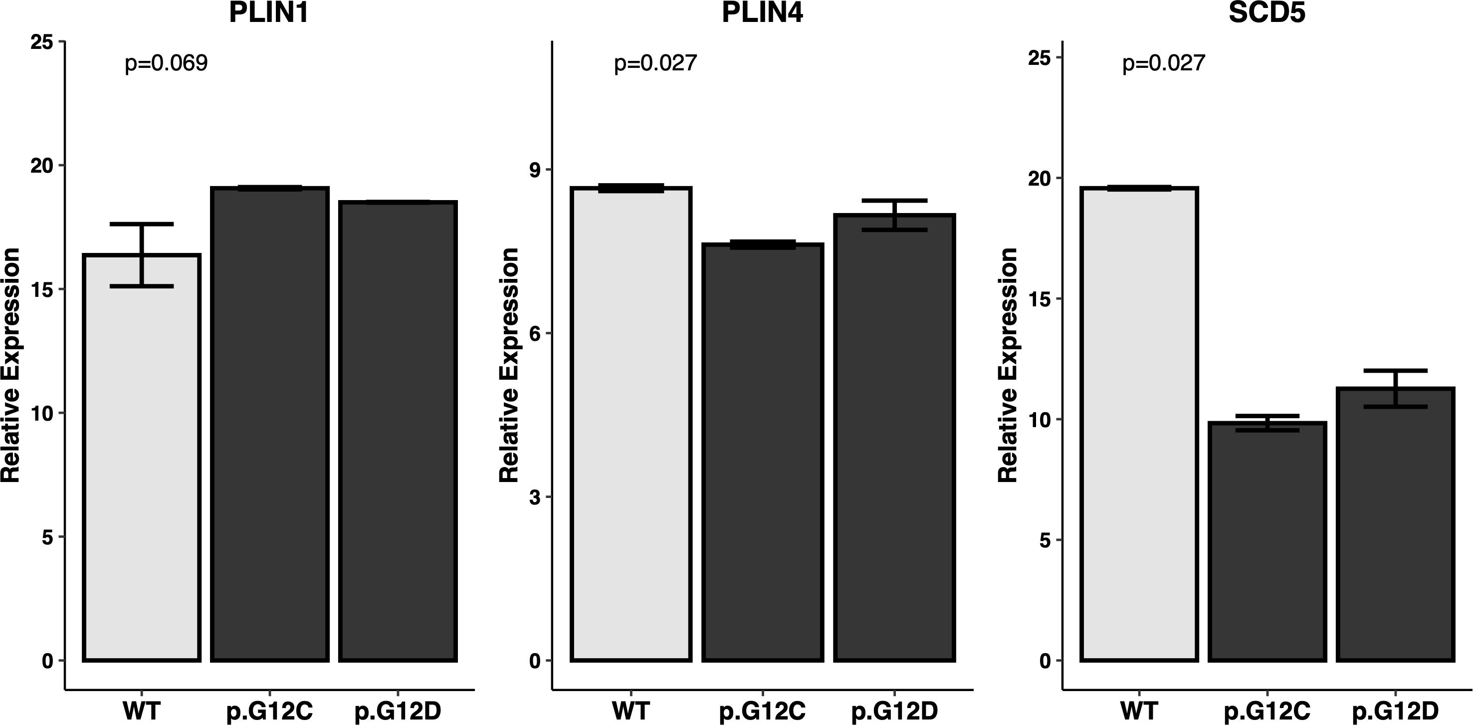 Bar graphs compare the relative expression of PLIN1, PLIN4, and SCD5 genes across WT, p.G12C, and p.G12D groups. PLIN1 shows a p-value of 0.069, PLIN4 shows 0.027, and SCD5 also shows 0.027. Each bar represents relative expression with error bars indicating variability.