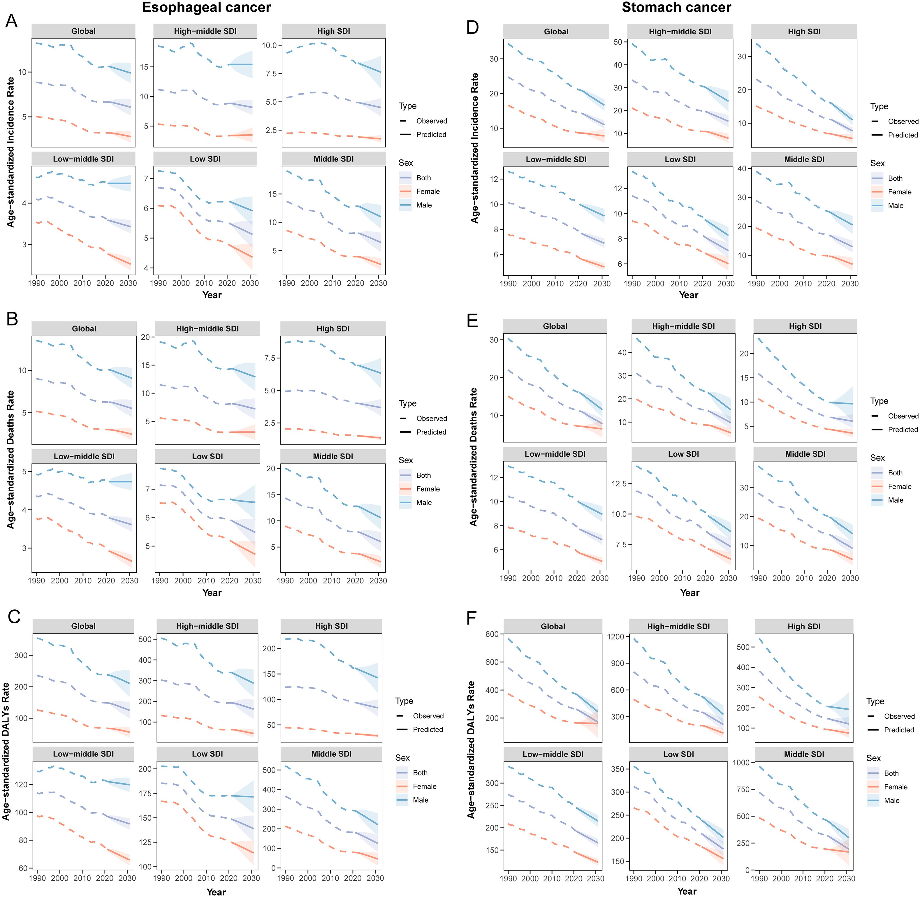Charts displaying trends for esophageal and stomach cancer from 1990 to 2030. Panels A, B, and C show incidence, death, and DALYs rates for esophageal cancer, segregated by SDI. Panels D, E, and F depict the same for stomach cancer. Each chart differentiates data by sex (both, female, male) with observed and predicted types, illustrating overall declines across most categories.