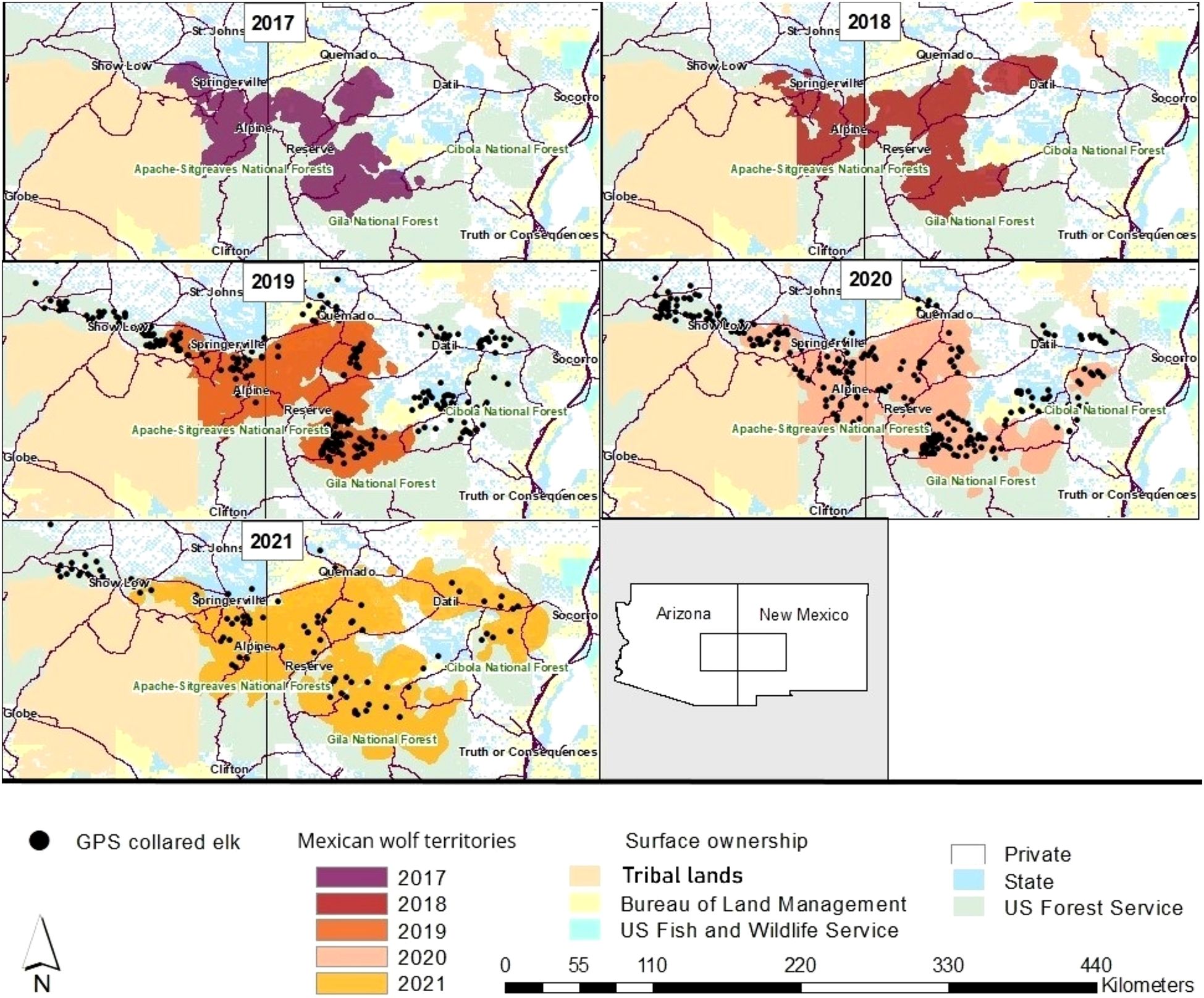 Maps show Mexican wolf territories from 2017 to 2021 in parts of Arizona and New Mexico. Territories are color-coded by year: 2017 in purple, 2018 in red, 2019 in orange, 2020 in pink, and 2021 in yellow. Black dots indicate GPS-collared elk. Also shown are surface ownership types such as tribal lands, Bureau of Land Management areas, and US Forest Service regions. A small inset map indicates the states and study area.