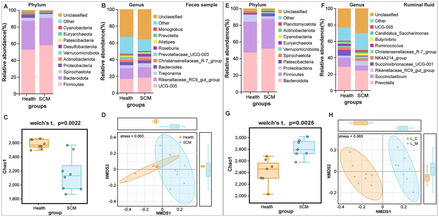 Bar charts and box plots illustrate microbial diversity in health and SCM groups. Panels A, B, E, and F show relative abundance of different phyla and genera in feces and ruminal fluid. Panels C and G display Chao1 diversity indices with significant differences (p = 0.0022 and p = 0.0025). Panels D and H show NMDS plots, highlighting differences in microbial community structure between groups.