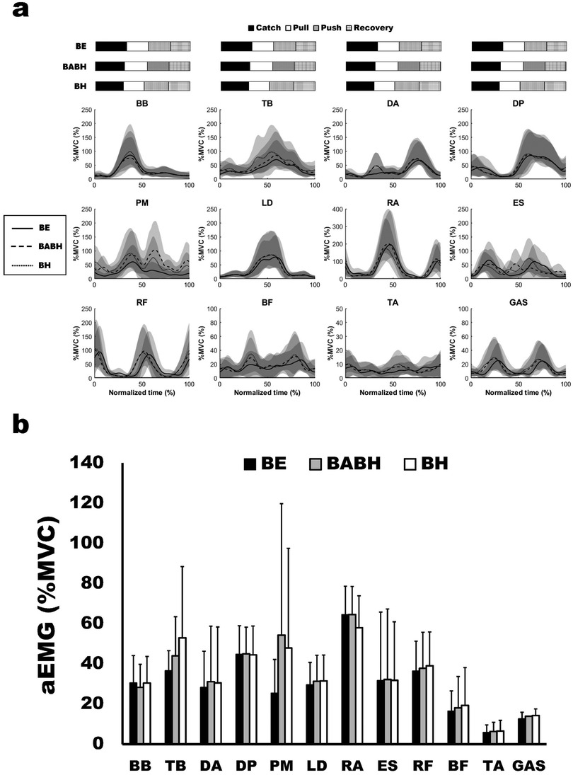 Graphical analysis of muscle activity during different movements. Part (a) shows time-normalized electromyography (EMG) patterns for various muscles like BB, TB, and PM across phases: catch, pull, push, and recovery. Part (b) presents a bar chart of average EMG (%MVC) for muscles, compared across conditions BE, BABH, and BH. Each element is represented with bars or lines for interpretation.