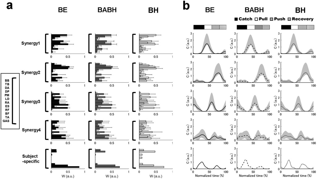 Panel (a) shows bar graphs depicting the spatial components of muscle synergies across three conditions—BE, BABH, and BH. Each synergy is represented by bars corresponding to different muscles such as BB, TB, DA, among others. Panel (b) presents line graphs of driving patterns of muscle synergies over normalized time, with phases indicated by colors: catch, pull, push, and recovery, for the same conditions.