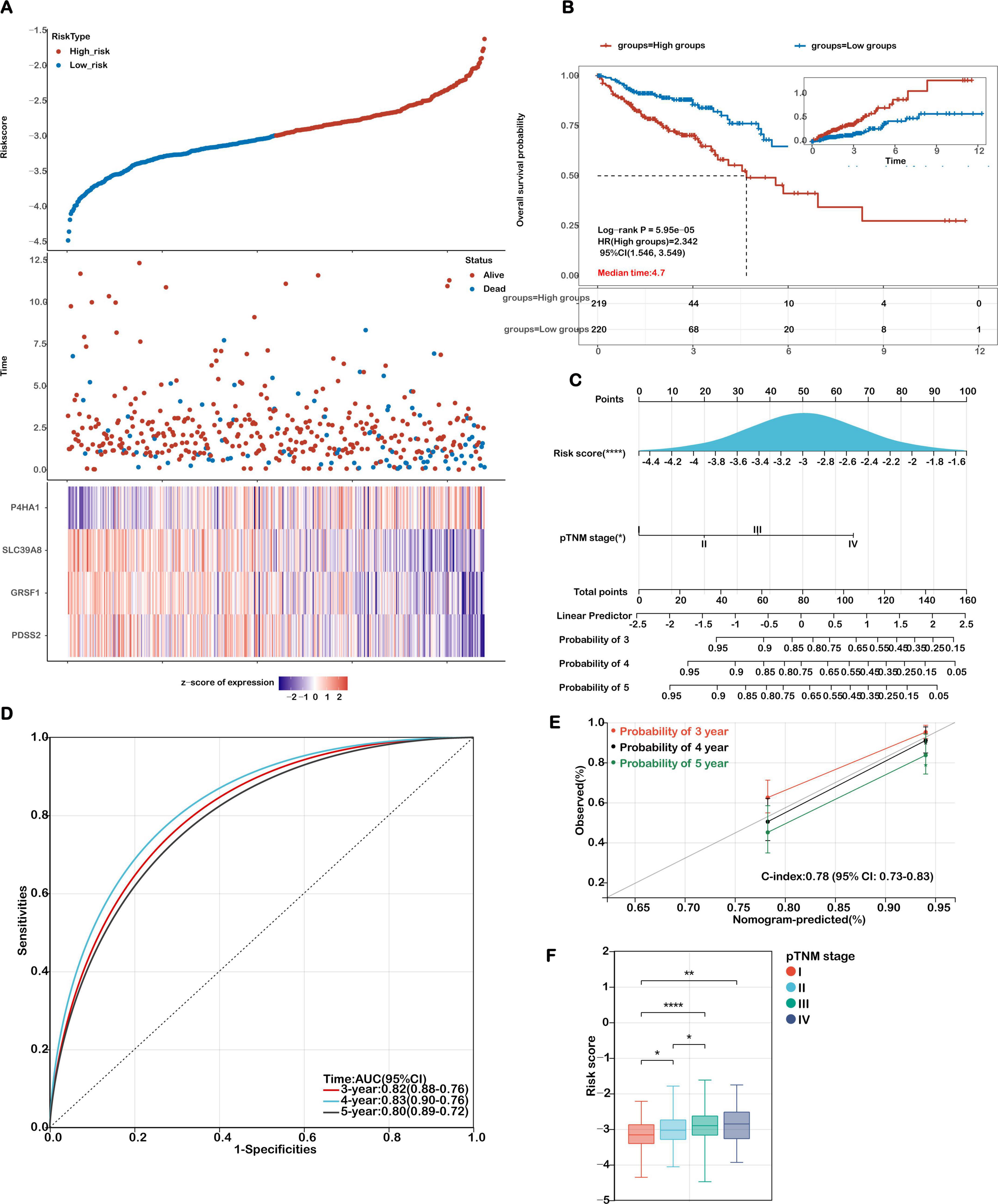 Panel A displays a risk score distribution with status indicators and expression heatmap. Panel B shows a Kaplan-Meier survival curve comparing high and low-risk groups. Panel C features a nomogram for risk prediction based on scores and stage. Panel D is a ROC curve evaluating model performance, showcasing AUC values for three to five years. Panel E presents a calibration plot correlating predicted and observed risks over three to five years. Panel F displays a boxplot comparing risk scores across different pTNM stages.