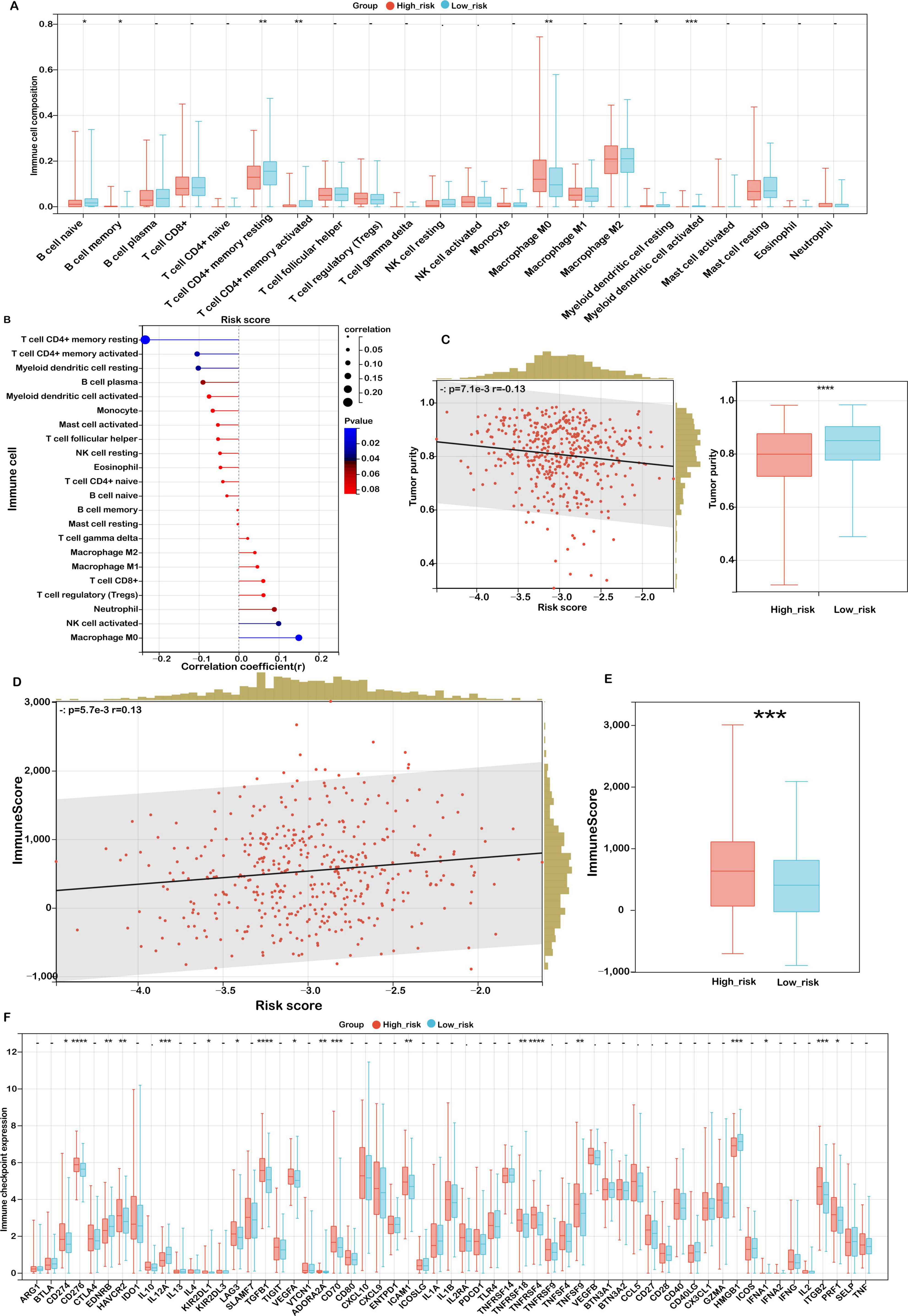 “Composite image showing various graphs and plots analyzing immune cell compositions and scores. A: Box plot comparing immune cell compositions between high-risk and low-risk groups for different immune cells. B: Dot plot illustrating correlation coefficients between immune cells and risk scores, with p-values color-coded. C: Scatter plot showing tumor purity versus risk score with a corresponding box plot for high-risk and low-risk groups. D: Scatter plot representing ImmuneScore versus risk score. E: Box plot comparing ImmuneScores between high-risk and low-risk groups. F: Box plot assessing immune checkpoint gene expression in high-risk and low-risk groups.”