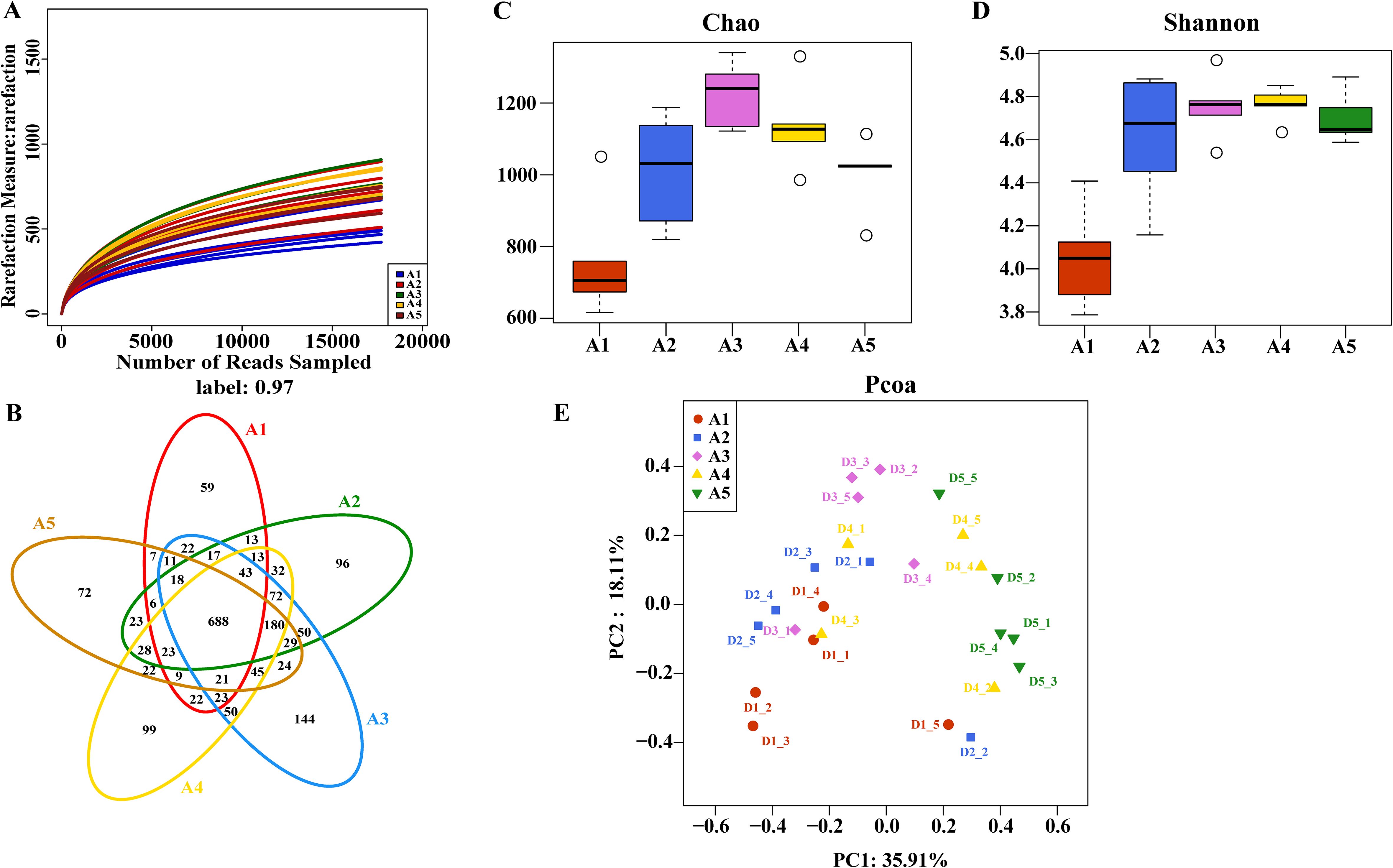 Chart collage showing: A) A rarefaction curve graph with five colored lines representing samples A1 to A5, depicting increasing rarefaction measures with more reads sampled. B) A Venn diagram with five overlapping colored ovals labeled A1 to A5, indicating the shared and unique elements among the groups. C) Box plot titled “Chao” showing diversity indices for samples A1 to A5, with A3 having the highest median. D) Box plot titled “Shannon” indicating diversity indices for samples A1 to A5, with A2 having the highest median. E) PCoA scatter plot showing sample distribution for A1 to A5, with percentages for the first two principal components.
