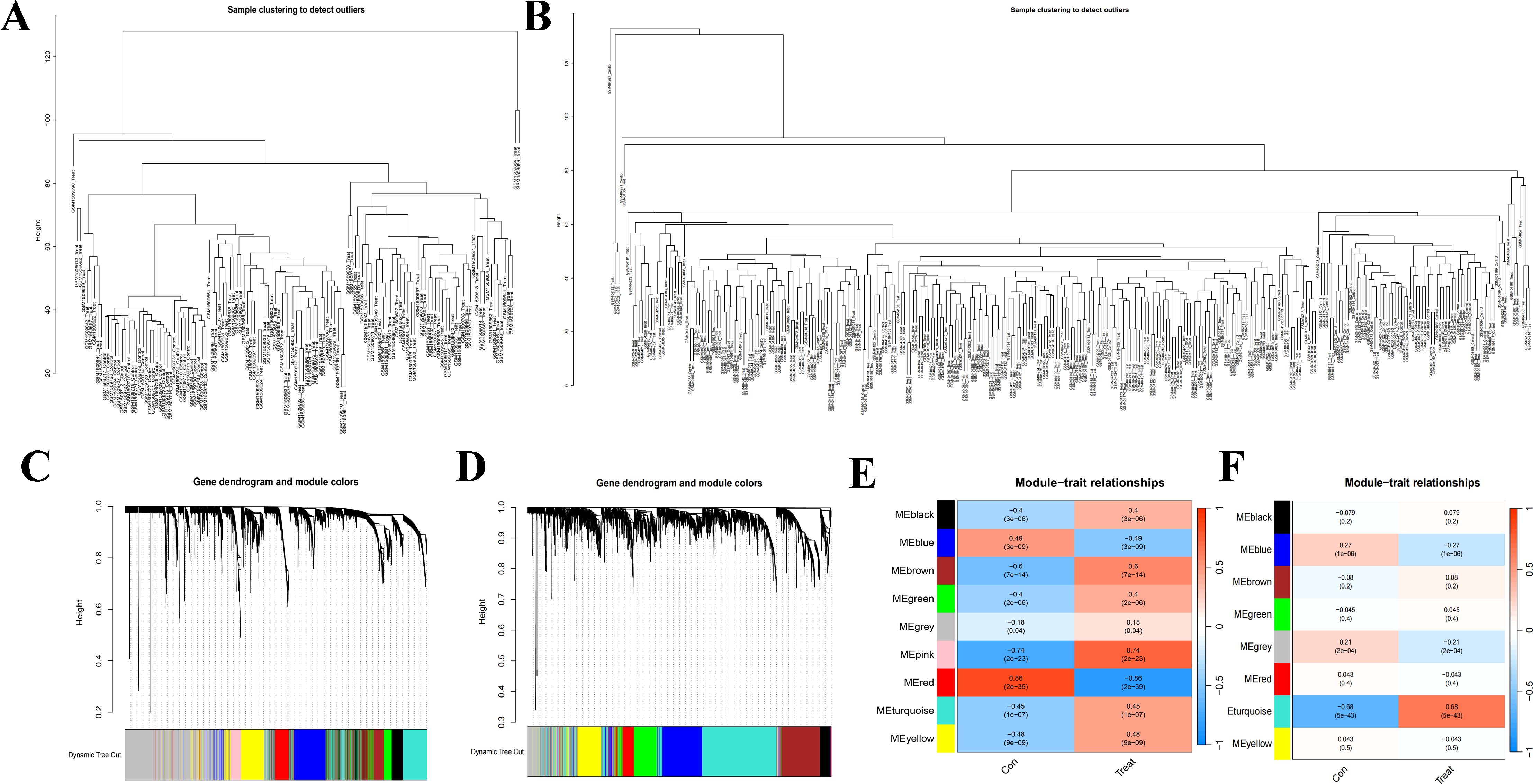Six panels labeled A to F display various dendrograms and heatmaps. Panels A and B present hierarchical cluster dendrograms for sample clustering, with Panel B labeled for outliers detection. Panels C and D show gene dendrograms with module color annotations, using varied colors for different modules. Panels E and F are heatmaps illustrating module-trait relationships, with color gradients indicating correlation strengths between gene modules and traits, labeled as “Con” and “Treat.” A spectrum bar beside the heatmaps indicates correlation values from -1 to 1.