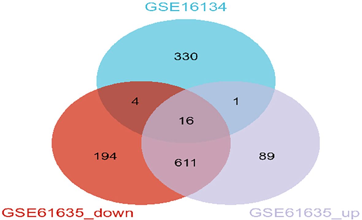 Venn diagram illustrating the overlap of data sets: GSE16134, GSE61635_down, and GSE61635_up. GSE16134 has 330 unique elements, GSE61635_down has 194, and GSE61635_up has 89. Shared between GSE16134 and GSE61635_down are 4 elements; between GSE16134 and GSE61635_up, 1 element; between GSE61635_down and GSE61635_up, 611; and 16 elements are common to all three sets.