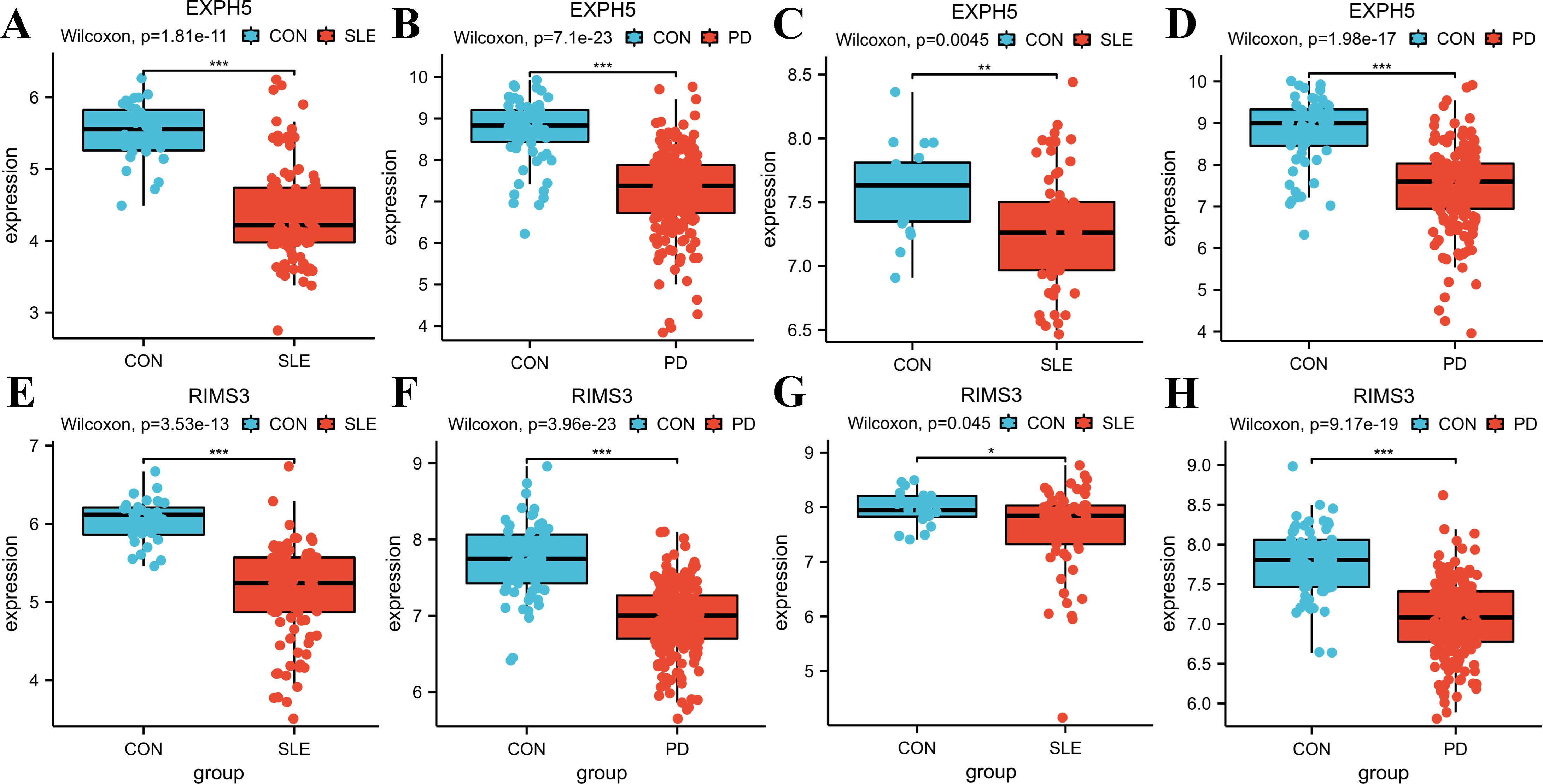 Eight box plots labeled A to H compare gene expression levels between control (CON) and disease groups (SLE or PD) for EXPH5 and RIMS3 genes. Each plot includes p-values from Wilcoxon tests, indicating significant differences. Plots A, C, and D show EXPH5 expression, while plots E, F, G, and H focus on RIMS3. Blue and red colors represent CON and disease groups, respectively.
