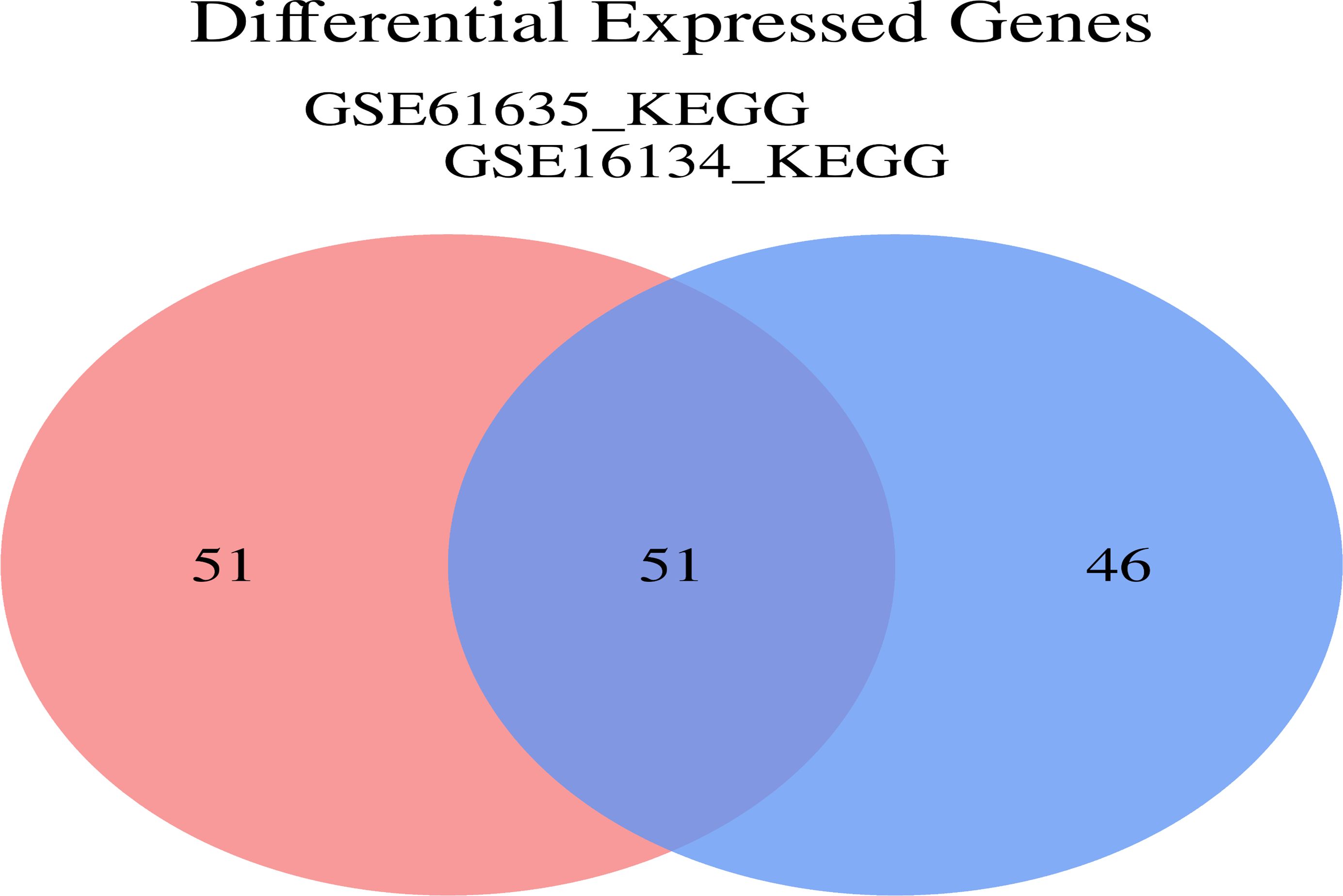 Venn diagram comparing two datasets, GSE61635_KEGG and GSE16134_KEGG. The left circle, representing GSE61635_KEGG, contains 51 unique elements. The right circle, representing GSE16134_KEGG, contains 46 unique elements. The overlapping section contains 51 elements common to both datasets.