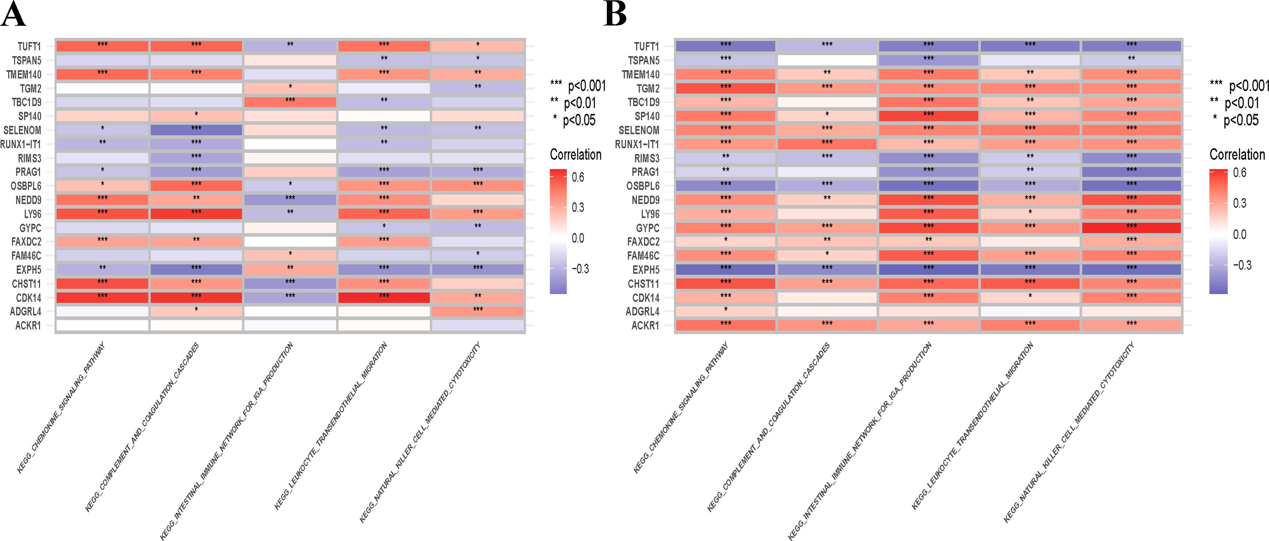 Heat maps A and B display correlation levels between various proteins (listed on the left) and KEGG pathways (listed at the bottom). Colors range from red (positive correlation) to blue (negative correlation). Significance levels are indicated by asterisks: *** for p<0.001, ** for p<0.01, and * for p<0.05. Each map uses these visual clues to show statistical correlations with pathways like “KEGG Chemokine Signaling” and others.