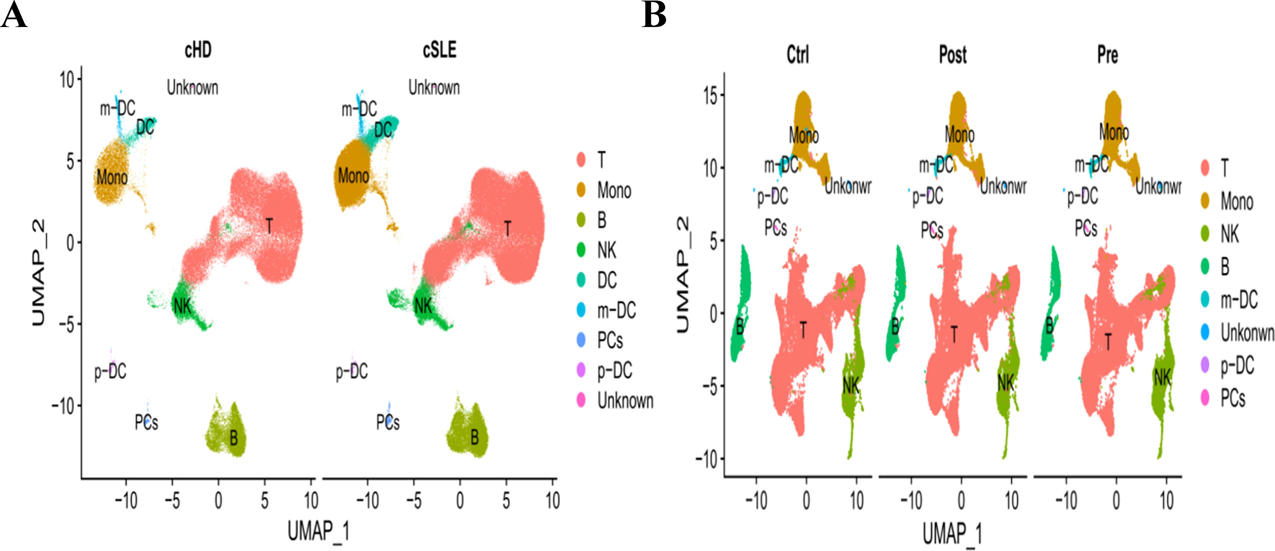 UMAP plots comparing cell types in different conditions. Panel A shows cHD and cSLE conditions, with clusters labeled as T cells, monocytes, NK cells, B cells, DCs, m-DCs, p-DCs, PCs, and unknown. Panel B displays control (Ctrl), post, and pre conditions with similar cell type distributions. Various colors represent different cell types as indicated in the legend.