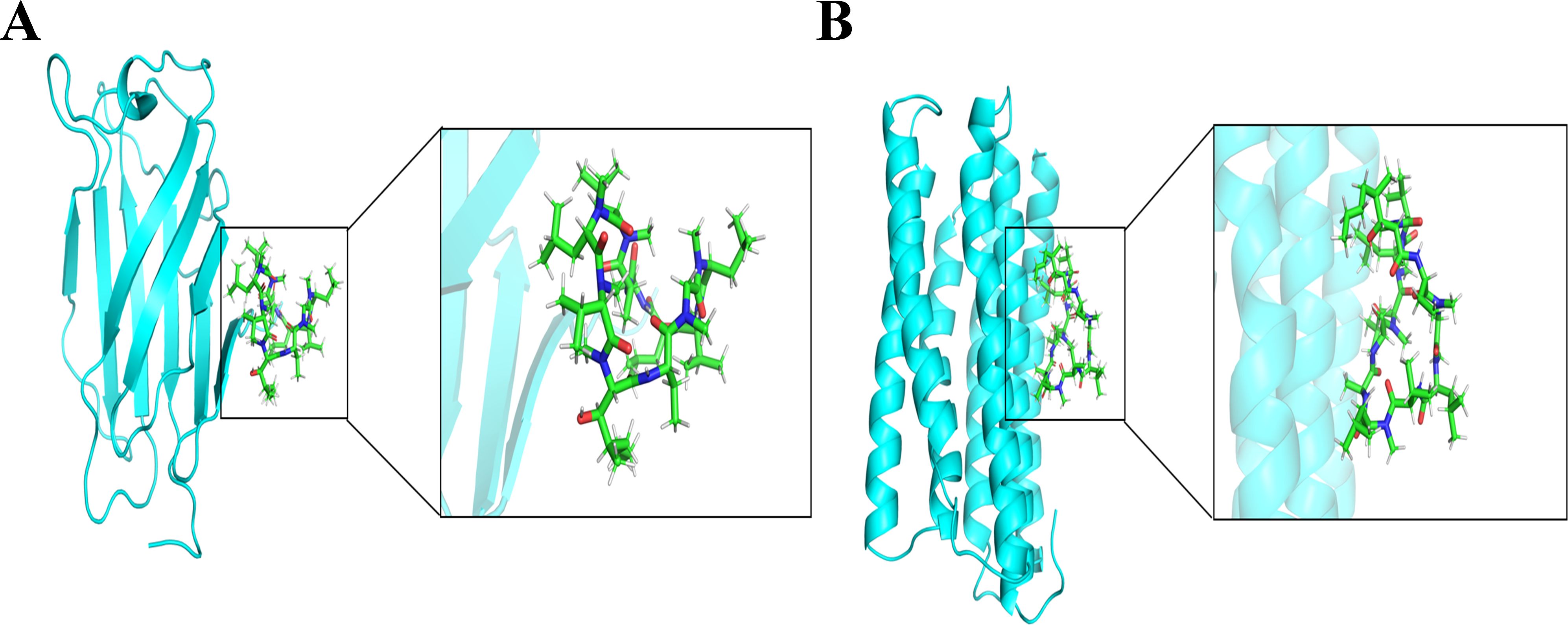 Molecular docking images labeled A and B. Image A shows a protein-ligand complex in a ribbon and stick model with detailed interactions highlighted in close-up insets. Image B presents a similar structure using red helices and sticks, with close-ups of interaction sites and binding details in insets. Both images feature diagrams illustrating molecular interactions, labeled components, and interaction zones.