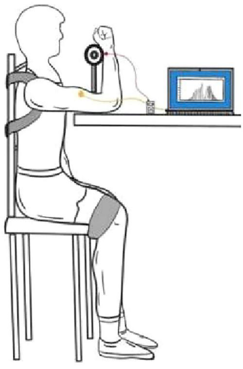 Illustration of a person sitting on a chair with a blood pressure cuff on their arm, connected to a device on a table which displays data on a laptop screen.