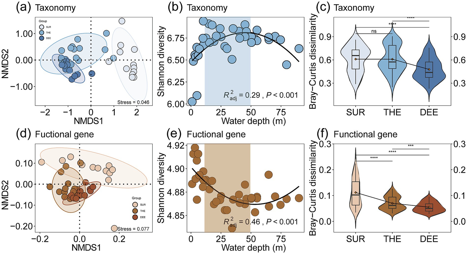 Graphs displaying taxonomic and functional gene data. (a) NMDS plot for taxonomy with groups SUR, THE, DEE showing different clustering and stress value 0.046. (b) Taxonomy shows Shannon diversity against water depth, noting an R² of 0.29, P<0.001. (c) Taxonomy Bray-Curtis dissimilarity violin plots for SUR, THE, DEE with statistical significance indicated. (d) NMDS plot for functional genes with groups SUR, THE, DEE and stress value 0.077. (e) Functional gene Shannon diversity versus water depth, with R² of 0.46, P<0.001. (f) Functional gene Bray-Curtis dissimilarity violin plots showing significant differences among groups.