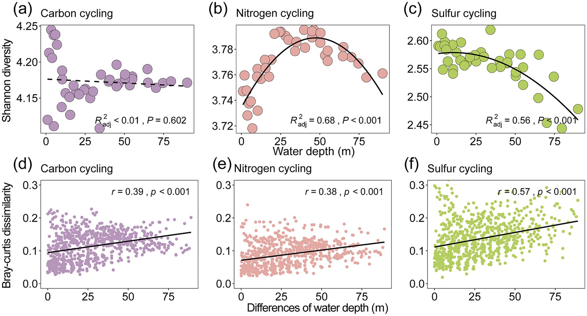Six scatter plots show relationships in cycling for carbon, nitrogen, and sulfur. Plots (a), (b), and (c) depict Shannon diversity against water depth, showing no correlation, a quadratic relationship, and a negative correlation, respectively. Adjusted R-squared values are 0.01, 0.68, and 0.56. Plots (d), (e), and (f) illustrate Bray-Curtis dissimilarity against differences in water depth, each with positive correlations. Correlation coefficients are 0.39, 0.38, and 0.57, all with significant p-values below 0.001. Different colors represent each cycling type.