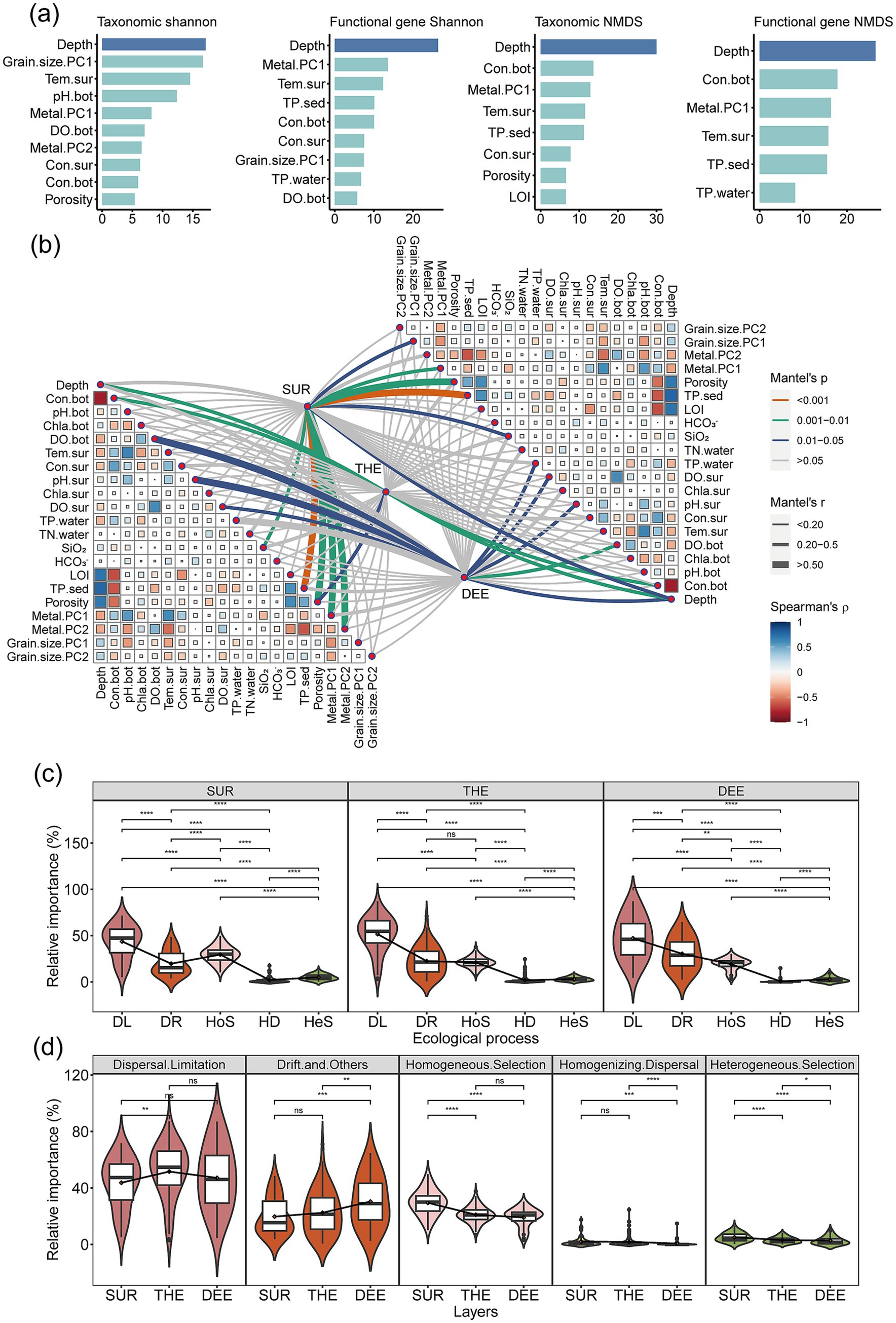 (a) Bar charts display key environmental variables influencing taxonomic and functional gene diversity. (b) Network diagram shows interactions between environmental factors with color coding by correlation strength. (c) Violin plots illustrate relative importance of ecological processes for different sites. (d) Additional violin plots compare process importance across layers, highlighting dispersal limitation and other ecological processes.