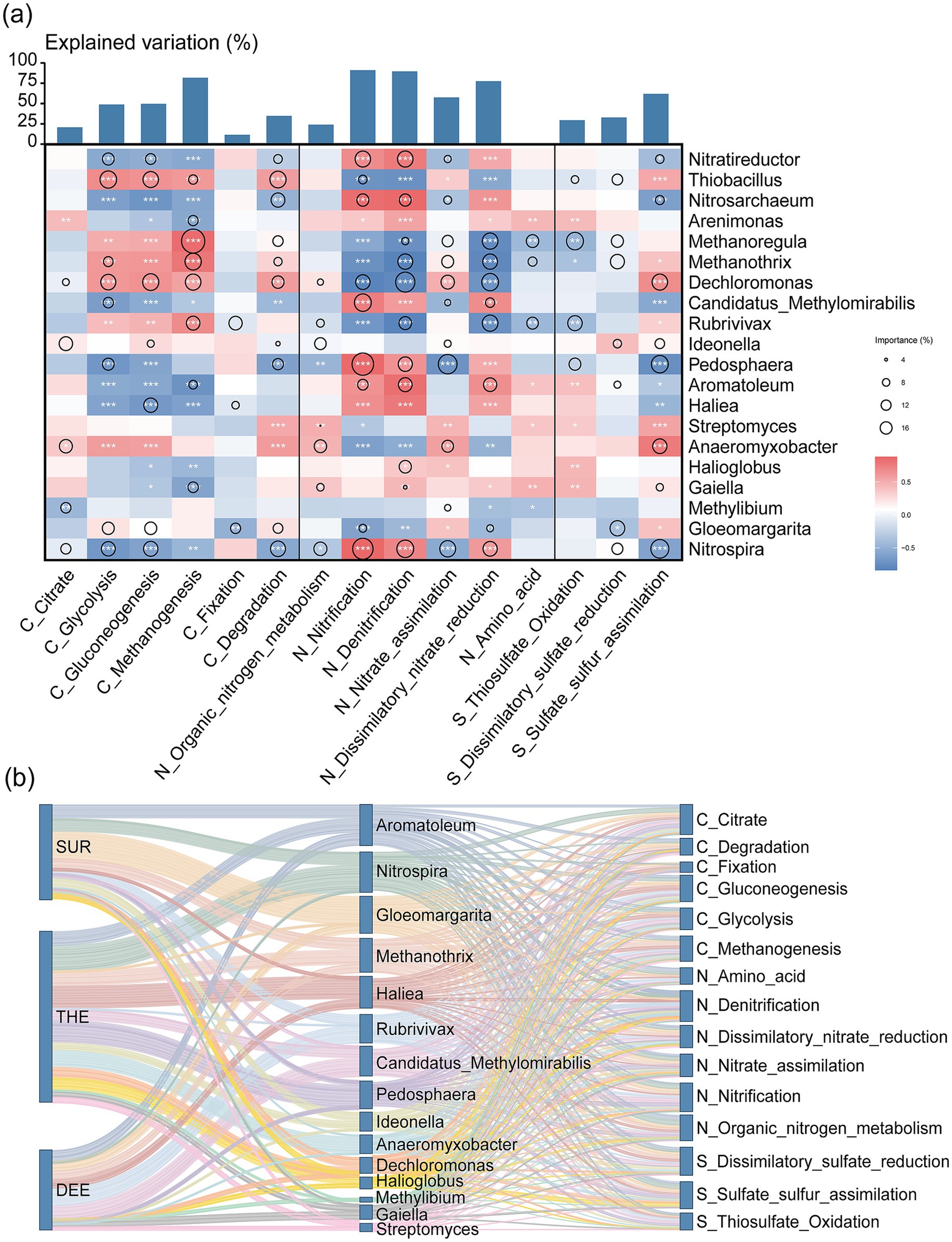 A two-part figure showing microbial data. Part (a) is a heatmap with explained variation percentages and microbial taxa. Columns represent processes, and rows represent taxa, with colors indicating the strength and direction of relationships. Circle sizes denote importance percentages. Part (b) is a Sankey diagram linking study areas (SUR, THE, DEE) to microbial taxa and processes, demonstrating flow and relationships between them. Different colors represent different pathways.