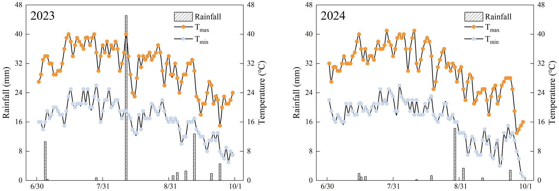 Side-by-side line graphs depicting daily maximum and minimum temperatures in orange and blue, respectively, for 2023 and 2024. Rainfall is shown with bar graphs. Temperature ranges from 16 to 40 degrees Celsius, and rainfall from 0 to 8 millimeters. Dates span from June 30 to October 1. The charts indicate fluctuations in temperature and variable rainfall over the specified period.