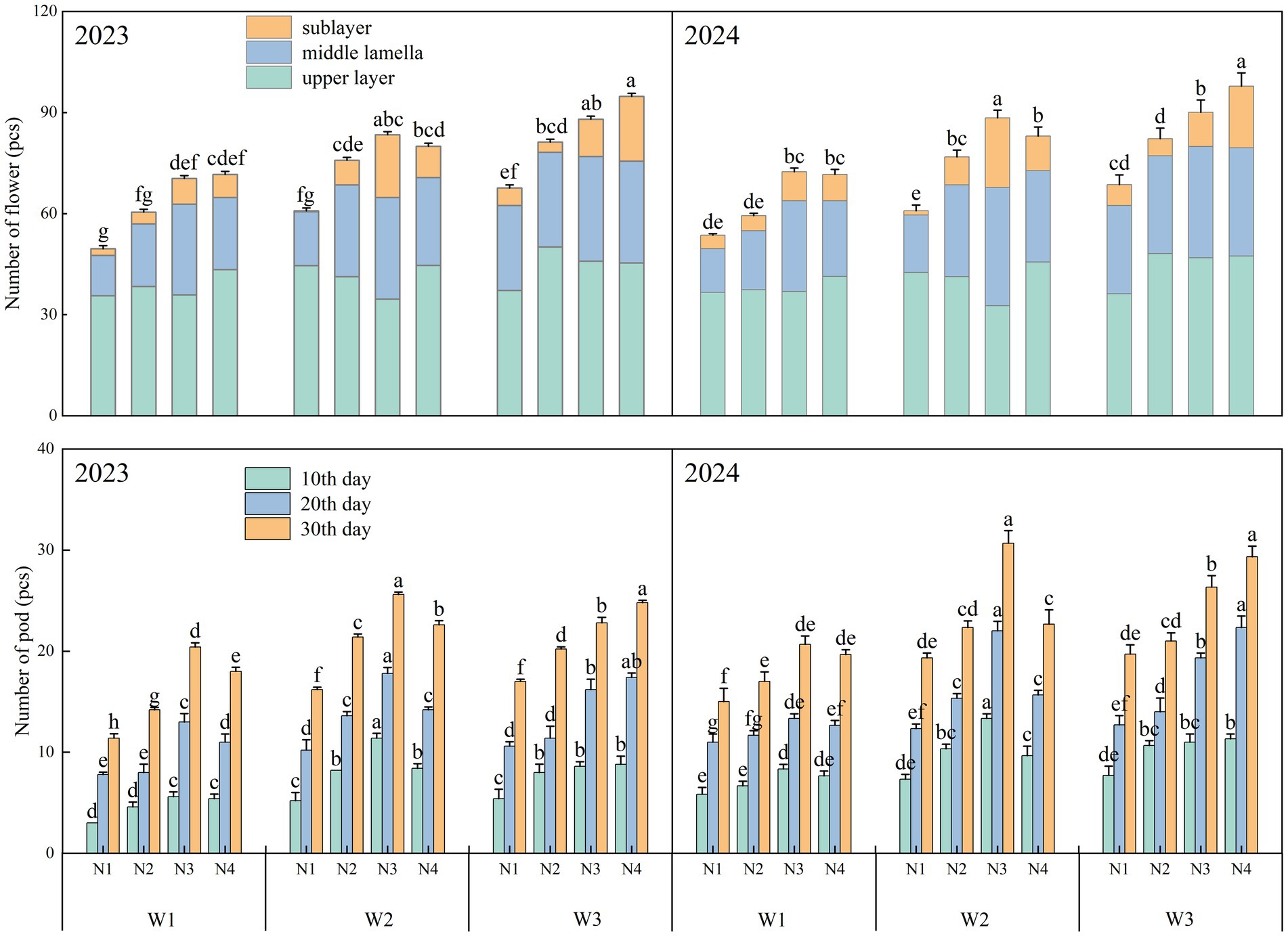 Bar charts compare the number of flowers and pods in years 2023 and 2024. The top charts show flower layers (sublayer, middle lamella, upper layer) for 2023 and 2024. The bottom charts display pod counts for three time intervals (10th, 20th, 30th days) across three groups (W1, W2, W3) for both years. Each bar segment has different labels indicating significance levels.
