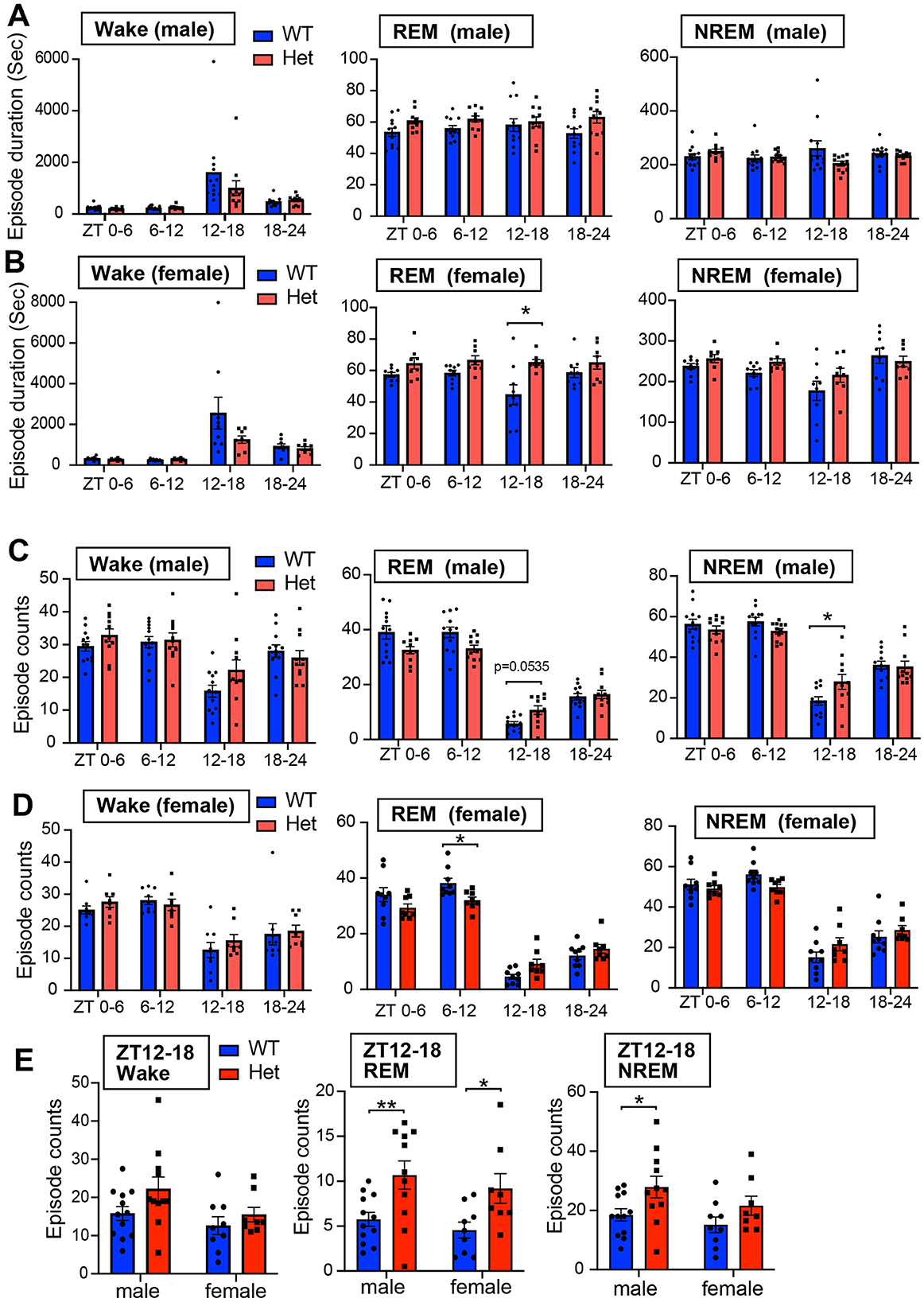 Bar graphs display sleep episode data for WT and Het groups in male and female subjects. (A, B) show episode duration in wake, REM, and NREM states over time intervals. (C, D) indicate episode counts with notable differences. (E) compares episode counts for the ZT12-18 interval, highlighting significant differences, particularly in REM sleep.