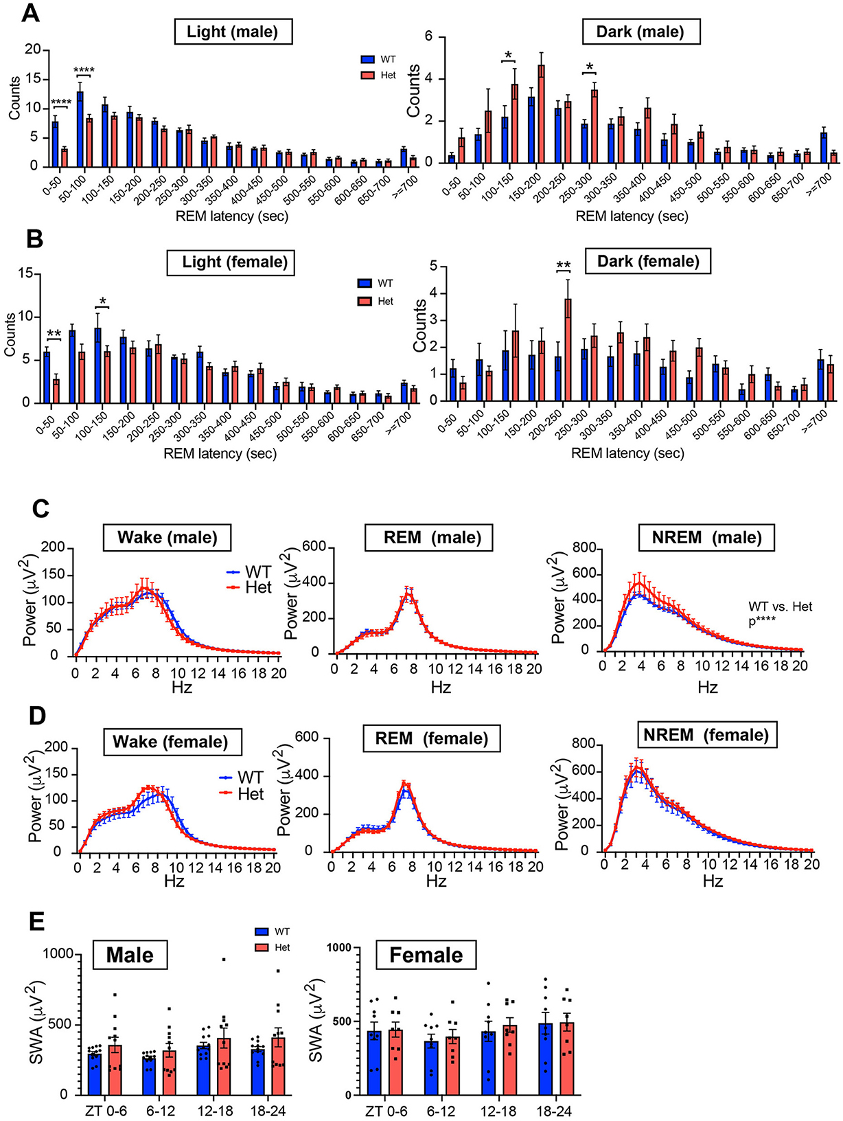 Graphs illustrating sleep study data. (A) REM latency counts in male mice during light and dark phases, comparing WT (blue) and Het (red), with significant differences marked by asterisks. (B) REM latency counts in female mice during light and dark phases, showing similar comparisons and significant differences. (C, D) Power spectral density graphs for wake, REM, and NREM periods in male and female mice, comparing WT and Het. (E) SWA levels across different time intervals in male and female mice, marked with statistical notations. WT and Het are distinguished by blue and red colors, respectively.