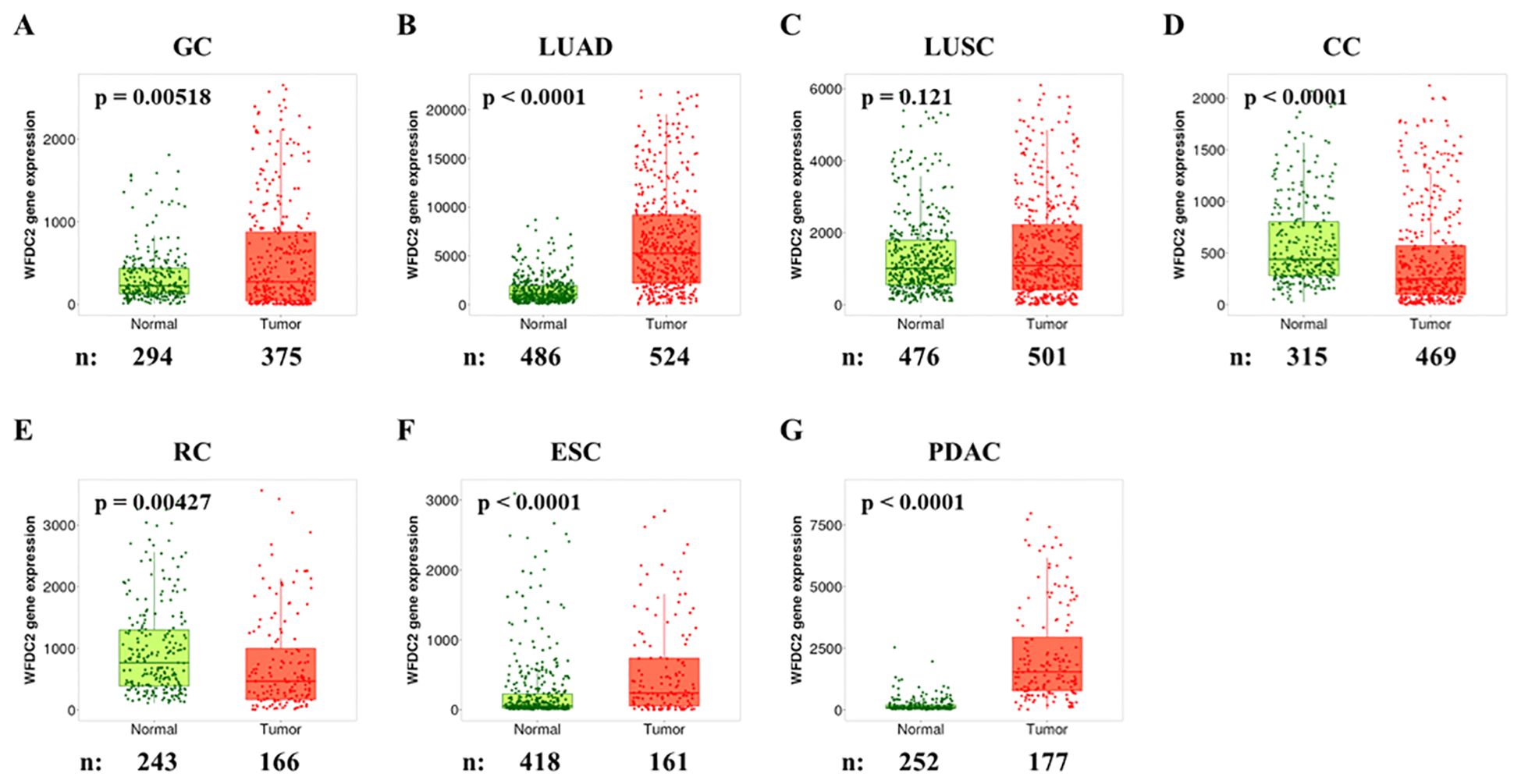 Box plots display WFDC2 gene expression in normal and tumor tissues across seven cancer types: GC, LUAD, LUSC, CC, RC, ESC, and PDAC. Each plot shows green for normal and red for tumor samples, with respective sample sizes and p-values indicating statistical significance.