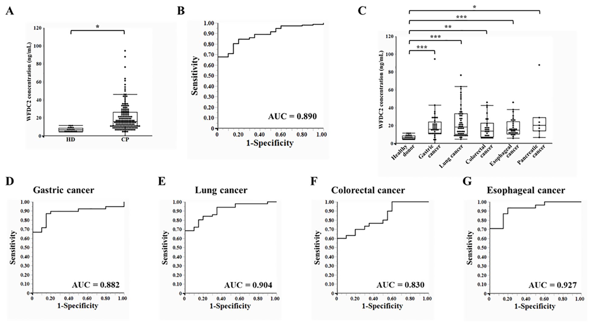 Panel A shows a box plot comparing WFDC2 concentrations in healthy donors (HD) and cancer patients (CP), with CP showing higher values. Panel B is an ROC curve with an AUC of 0.890. Panel C shows box plots of WFDC2 concentrations across different cancers, highlighting significant differences. Panels D to G present ROC curves for gastric, lung, colorectal, and esophageal cancers with AUCs of 0.882, 0.904, 0.830, and 0.927, respectively.