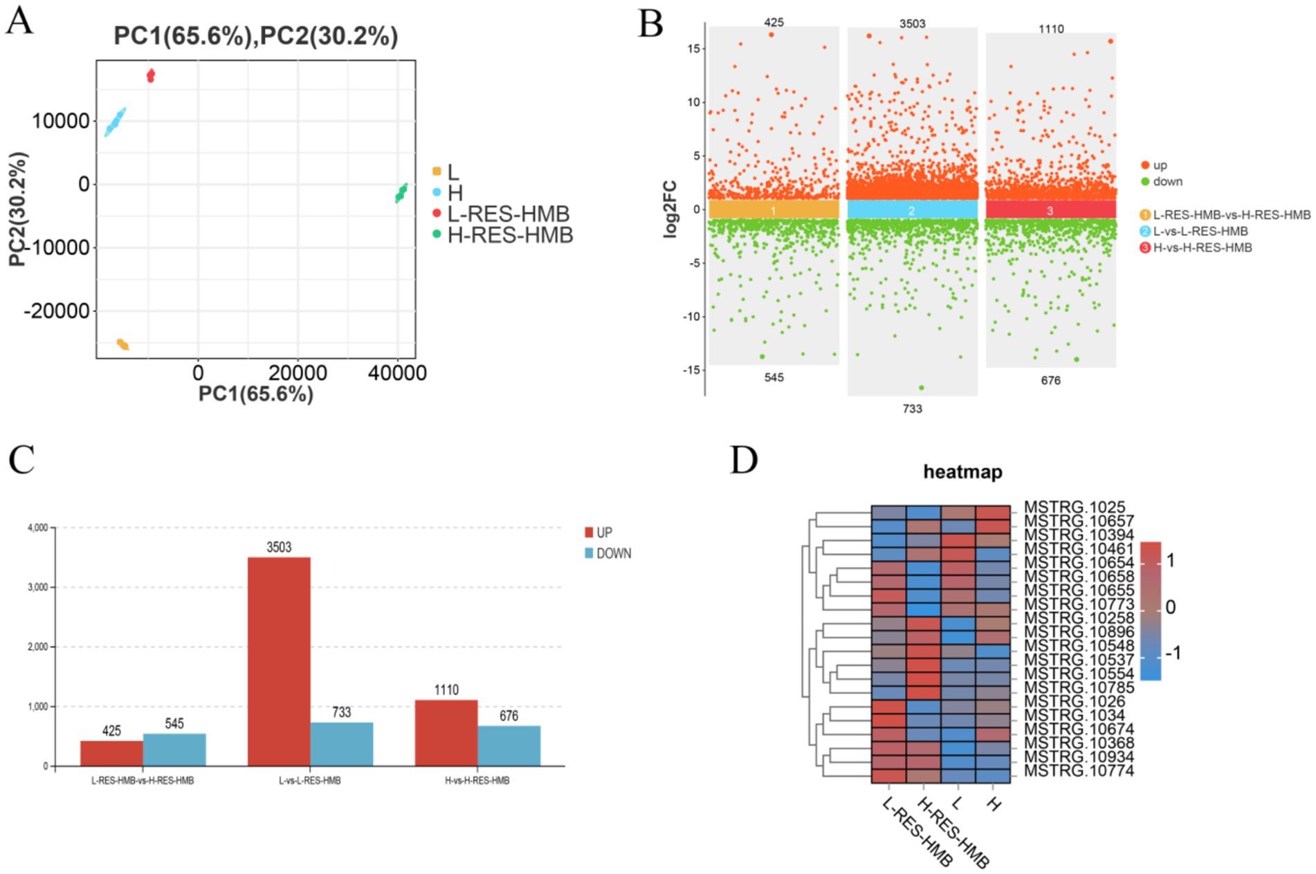Four-panel image featuring data visualizations. Panel A: PCA plot showing four groups (L, H, L-RES-HMB, H-RES-HMB) with distinct clusters along PC1 and PC2 axes. Panel B: Volcano plot displaying gene expression changes; points are colored for up and down regulation. Panel C: Bar chart illustrating counts of upregulated and downregulated genes across three comparisons: L-RES-HMB vs H-RES-HMB, L vs L-RES-HMB, and H vs H-RES-HMB. Panel D: Heatmap showing gene expression levels with a color gradient from blue (downregulation) to red (upregulation), including gene identifiers.
