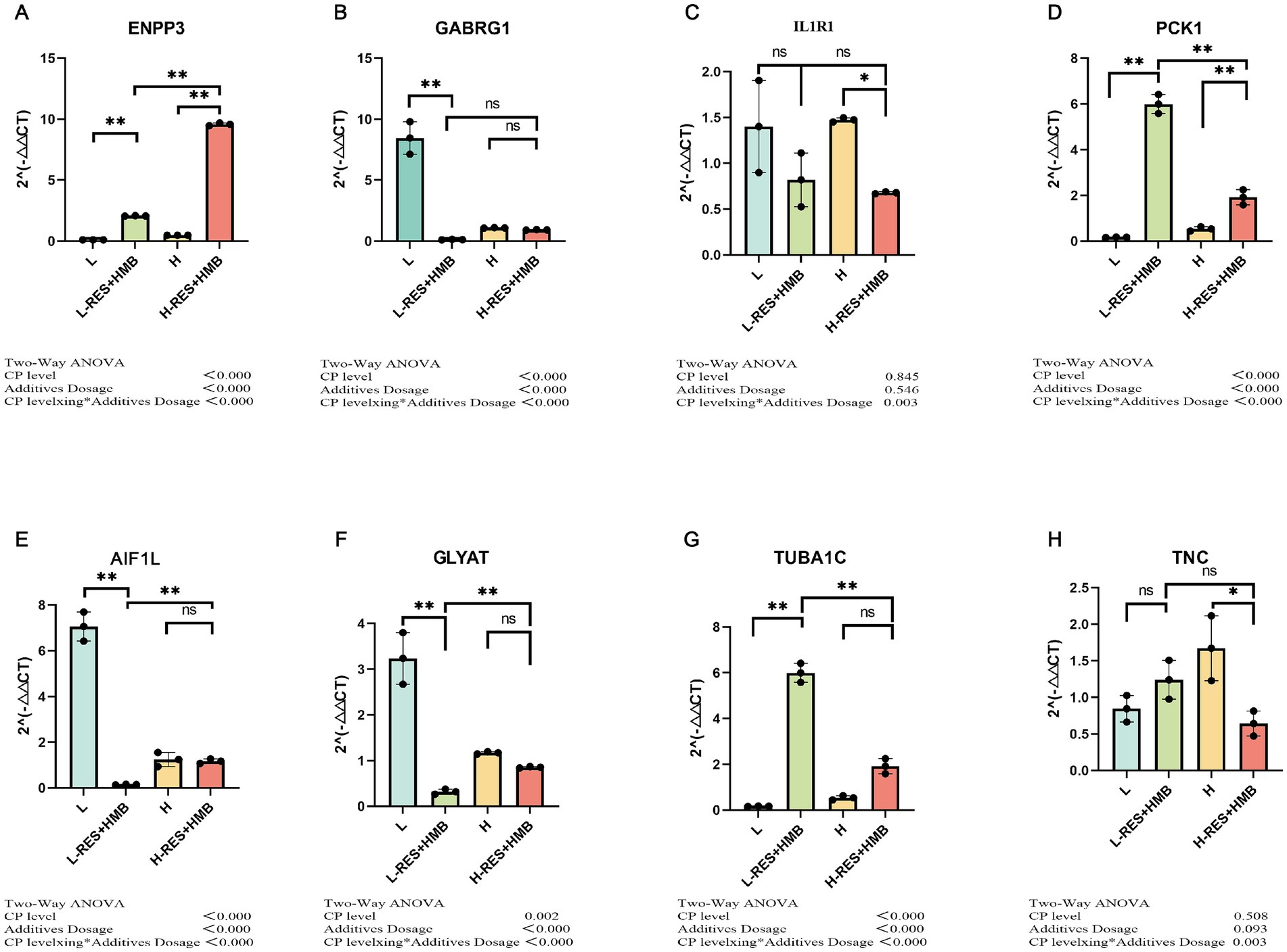 Bar charts labeled A to H show gene expression levels (2^-ΔΔCT) for ENPP3, GABRG1, IL1R1, PCK1, AIF1L, GLYAT, TUBA1C, and TNC. Conditions include L, L-RES+HMB, H, and H-RES+HMB. Statistical significance is marked by asterisks: **p < 0.000 and *p < 0.05. Data analyzed using Two-Way ANOVA with significance in CP level, Additives Dosage, and CP leveling*Additives Dosage.