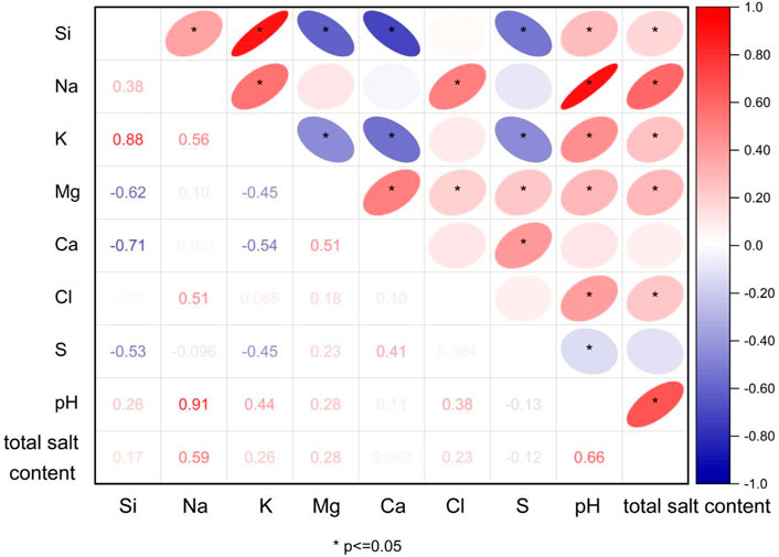 Correlation matrix showing relationships among Si, Na, K, Mg, Ca, Cl, S, pH, and total salt content. Positive correlations are in red, negative in blue, with intensity indicating strength. Asterisks denote significance at p ≤ 0.05. Prominent correlations include K with Si (0.88) and pH with total salt content (0.66).