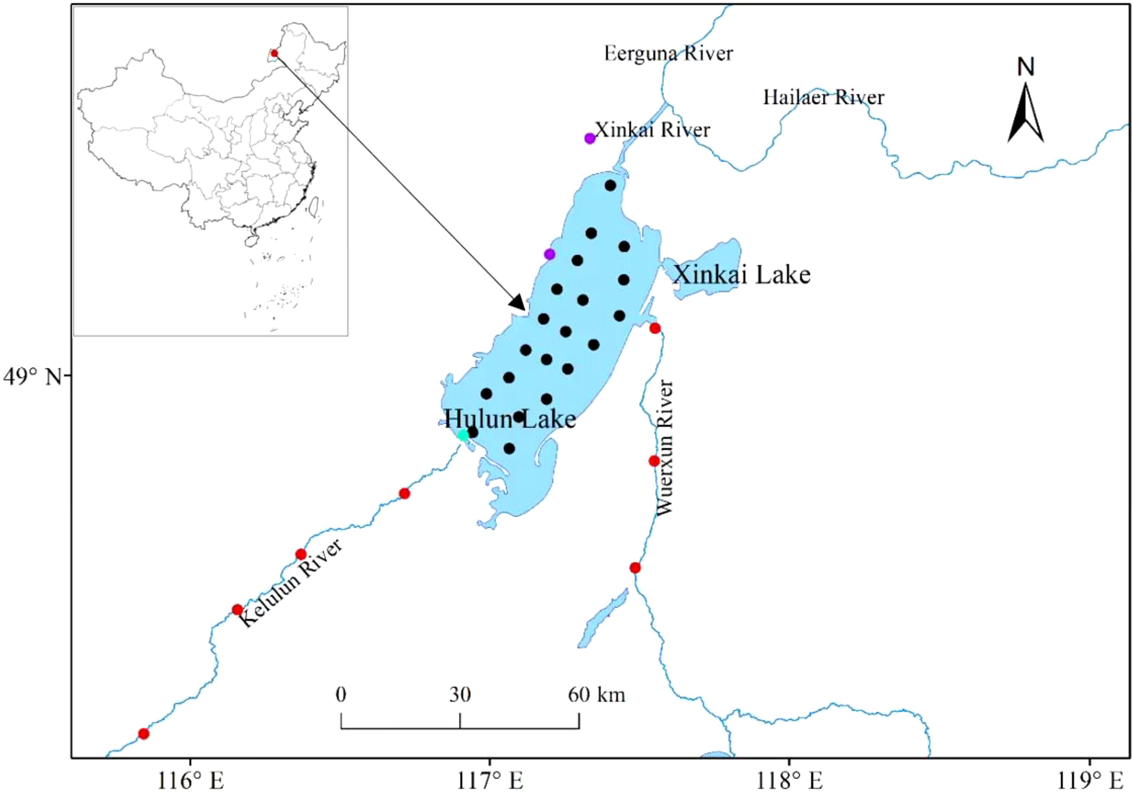 A map shows Hulun Lake in China with sampling sites marked by color-coded dots: black (lake water samples), red (inflow rivers: Kelulun River, Wuerxun River), purple (groundwater samples), and green (atmospheric deposition site, which also references adjacent river/groundwater sites indistinguishable at this scale). An inset map locates Hulun Lake within China. The map includes a north arrow and geographic coordinates.