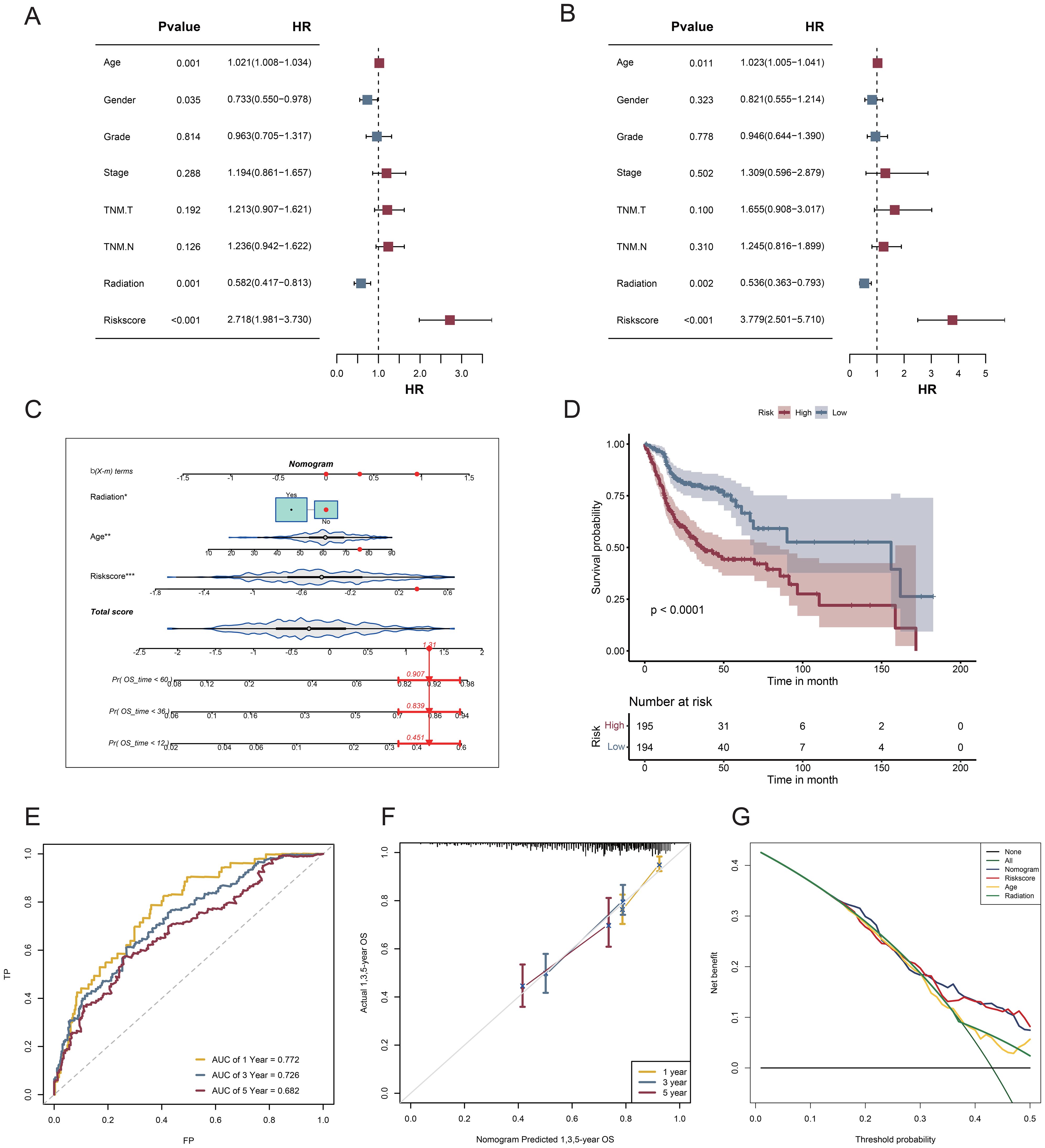A series of medical data visualizations depicting hazard ratios, survival probabilities, and predictive model performance. Panel A and B show forest plots of hazard ratios for various factors with corresponding p-values. Panel C is a nomogram illustrating predictions based on different variables. Panel D displays Kaplan-Meier survival curves comparing high and low-risk groups with significant differences. Panel E is a receiver operating characteristic curve with areas under the curve (AUC) for one, three, and five-year predictions. Panel F shows calibration plots comparing actual survival to predictions over different years.