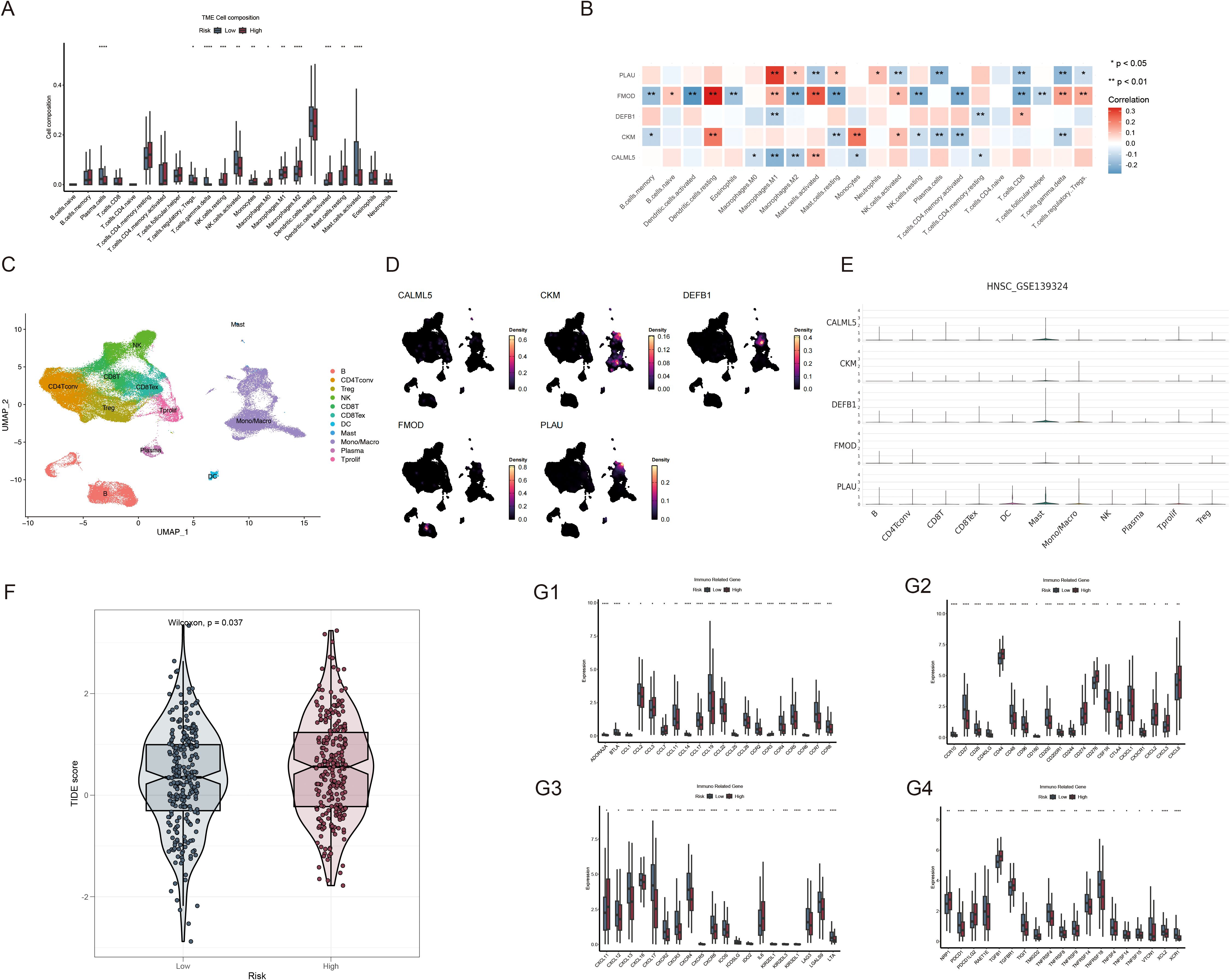A panel of scientific data visualizations related to cell composition and gene expression, labeled A to G4. A shows a box plot of tumor microenvironment cell composition by risk level. B presents a heatmap of gene correlations with a significance scale. C provides a UMAP plot of immune cell clustering. D includes density plots of gene expression. E displays gene expression levels across different cell types. F shows a violin plot comparing TIDE scores by risk. G1 to G4 are box plots of immune cell proportions across various conditions.