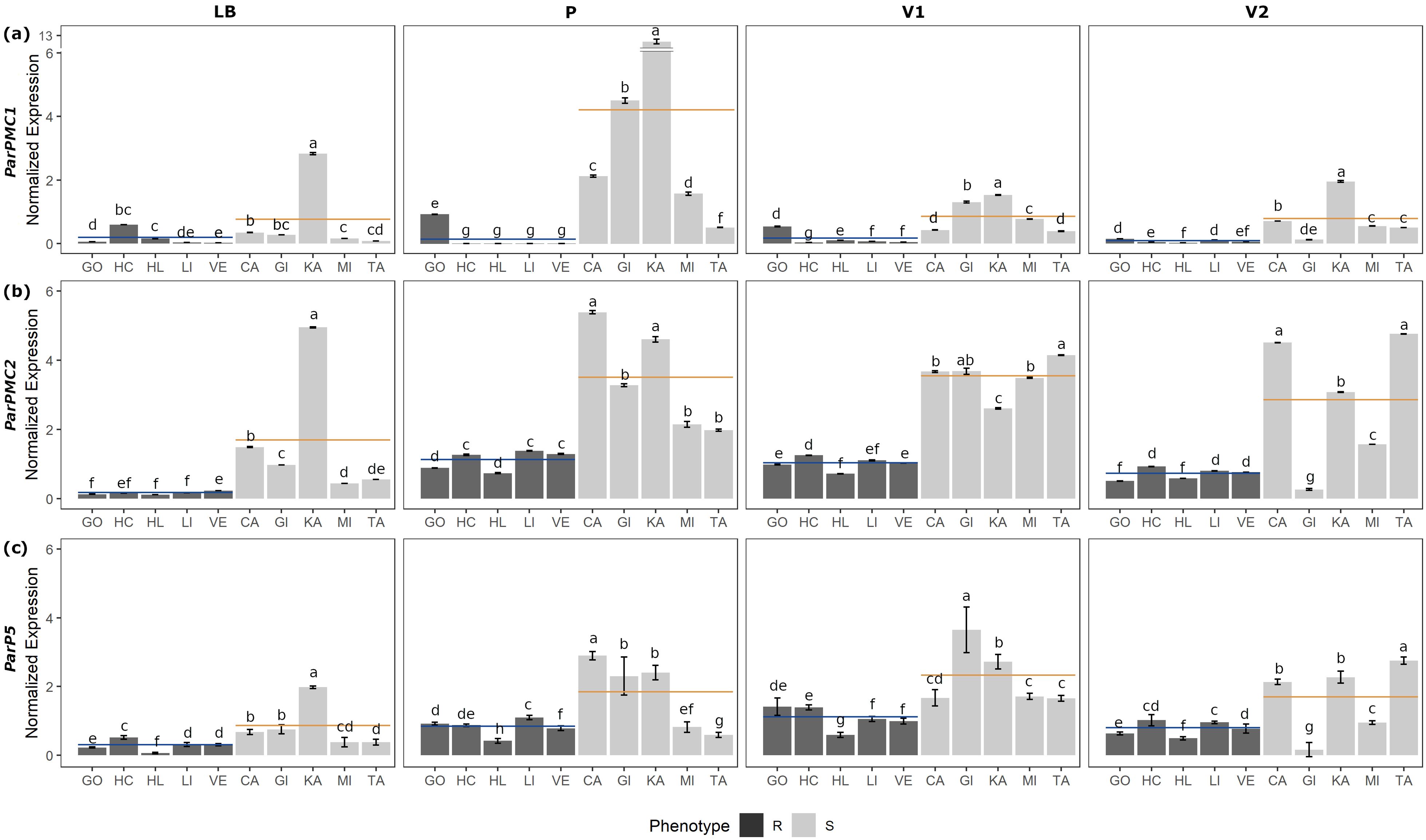 Bar graphs show normalized expression levels of ParPMC1, ParPMC2, and ParP5 across different phenotypes (R and S) labeled GO, HC, HL, LI, VE, CA, GI, KA, MI, and TA. The graphs are divided into four columns labeled LB, P, V1, and V2, and three rows labeled (a), (b), (c). Bars in each category are marked with letters (a-g) indicating statistical differences. Blue and orange lines indicate R and S mean values, respectively.