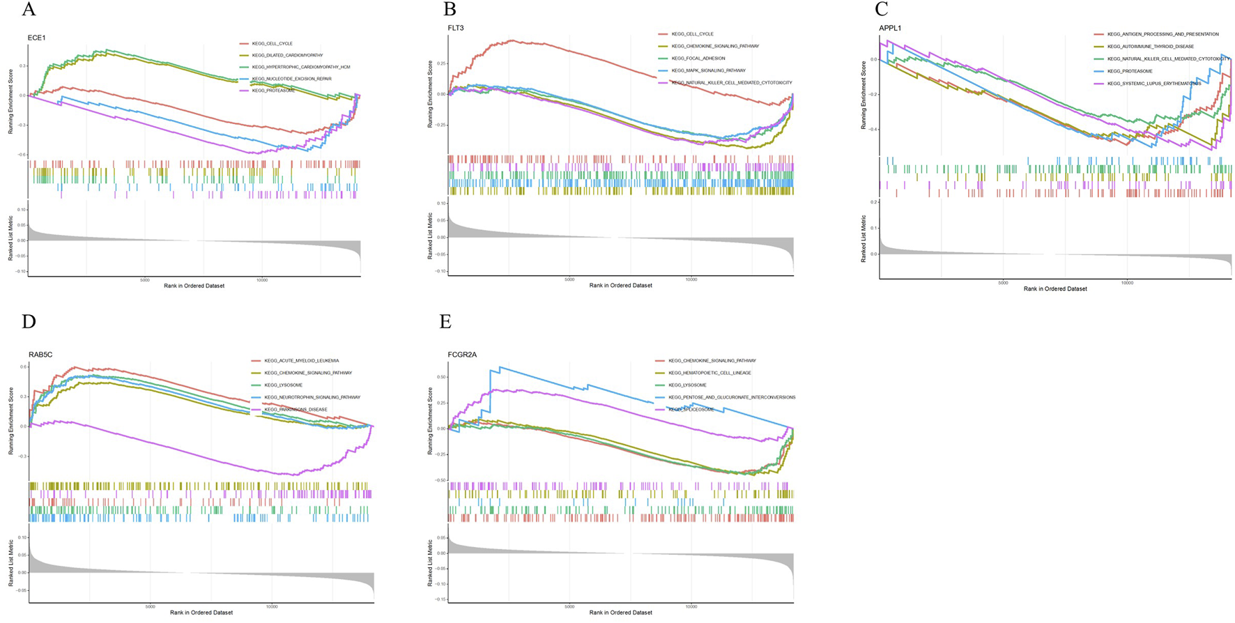 Five line graphs labeled A to E show running enrichment scores for different genes: ECE1, FLT3, APPL1, RAB5C, and FCGR2A. Each graph includes multiple colored lines representing various KEGG pathways, ranked on the x-axis. Below each graph, there is a barcode plot showing ranked positions in the dataset, and a grey area indicating the leading edge subset.