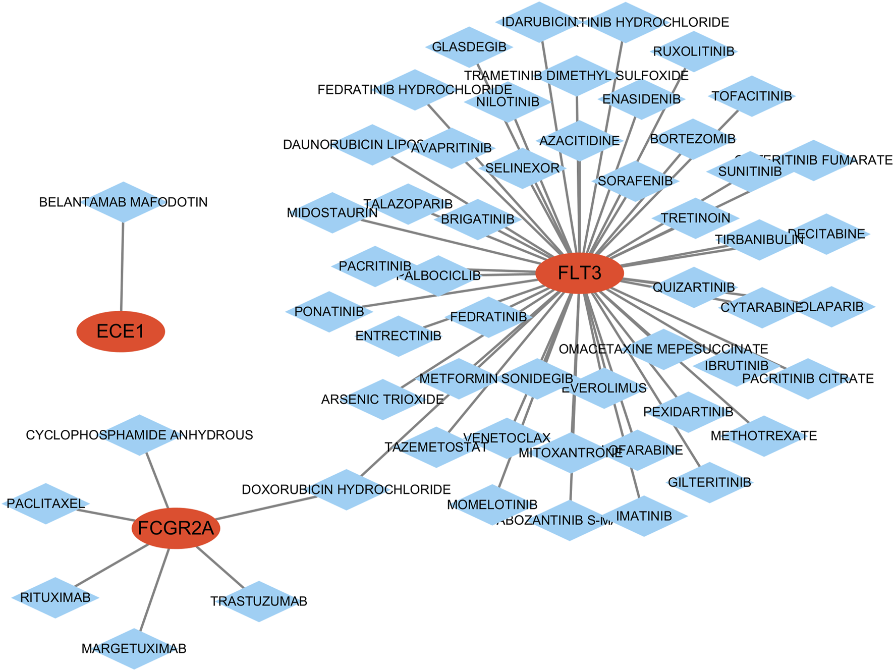 Network diagram illustrating drug interactions with three genes: ECE1, FCGR2A, and FLT3. ECE1 connects to belantamab mafodotin. FCGR2A links to cyclophosphamide anhydrous, paclitaxel, rituximab, trastuzumab, and margetuximab. FLT3 connects to numerous drugs, including midostaurin, sorafenib, and quizartinib, shown with blue diamond nodes.