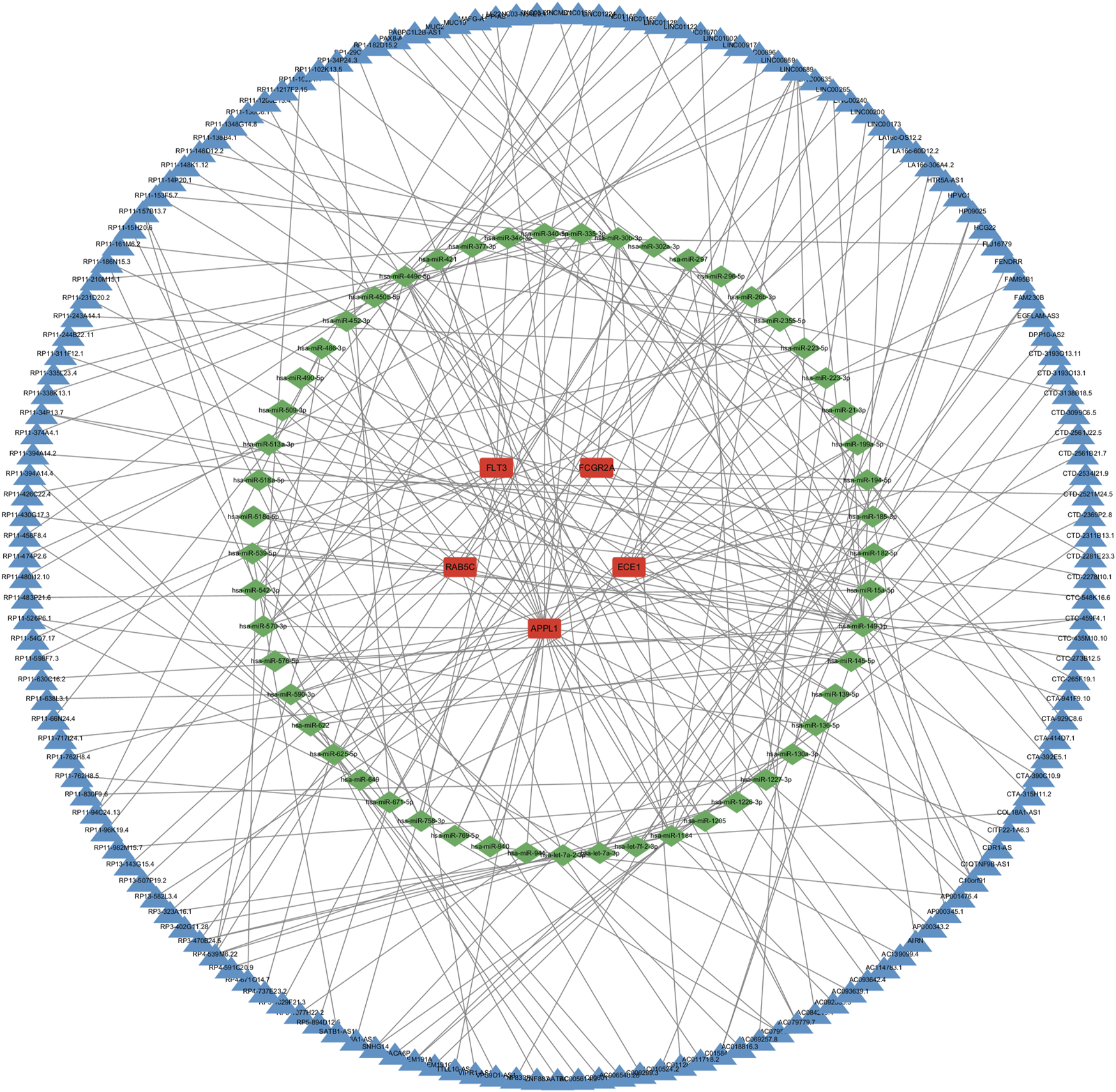 Circular network graph showing interconnected nodes. The center features five red nodes labeled FLT3, GRID2, RAB36, EGCE1, and APPL1, connected by lines to green diamond-shaped nodes, which are further linked to numerous blue triangular nodes around the perimeter.