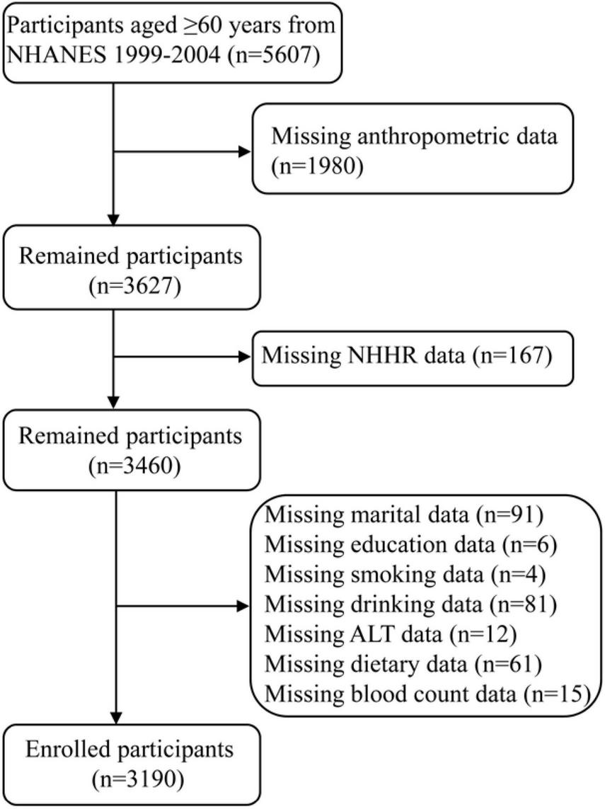 Flowchart depicting participant selection from NHANES 1999-2004, starting with 5,607 participants aged 60 or older. After exclusions for missing data (1,980 anthropometric, 167 NHHR, and various other data), 3,190 participants remain enrolled.