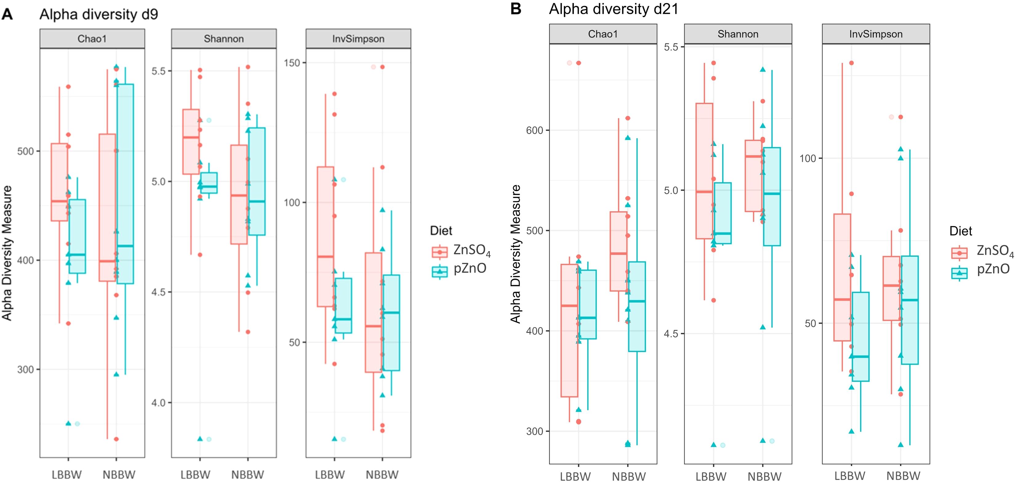 Box plots showing alpha diversity measures (Chao1, Shannon, InvSimpson) for two diets (ZnSOâ‚„ in red and pZnO in blue) on two days (d9 and d21). Each plot compares two groups, LBBW and NBBW, with the diversity measures indicated on the y-axis.