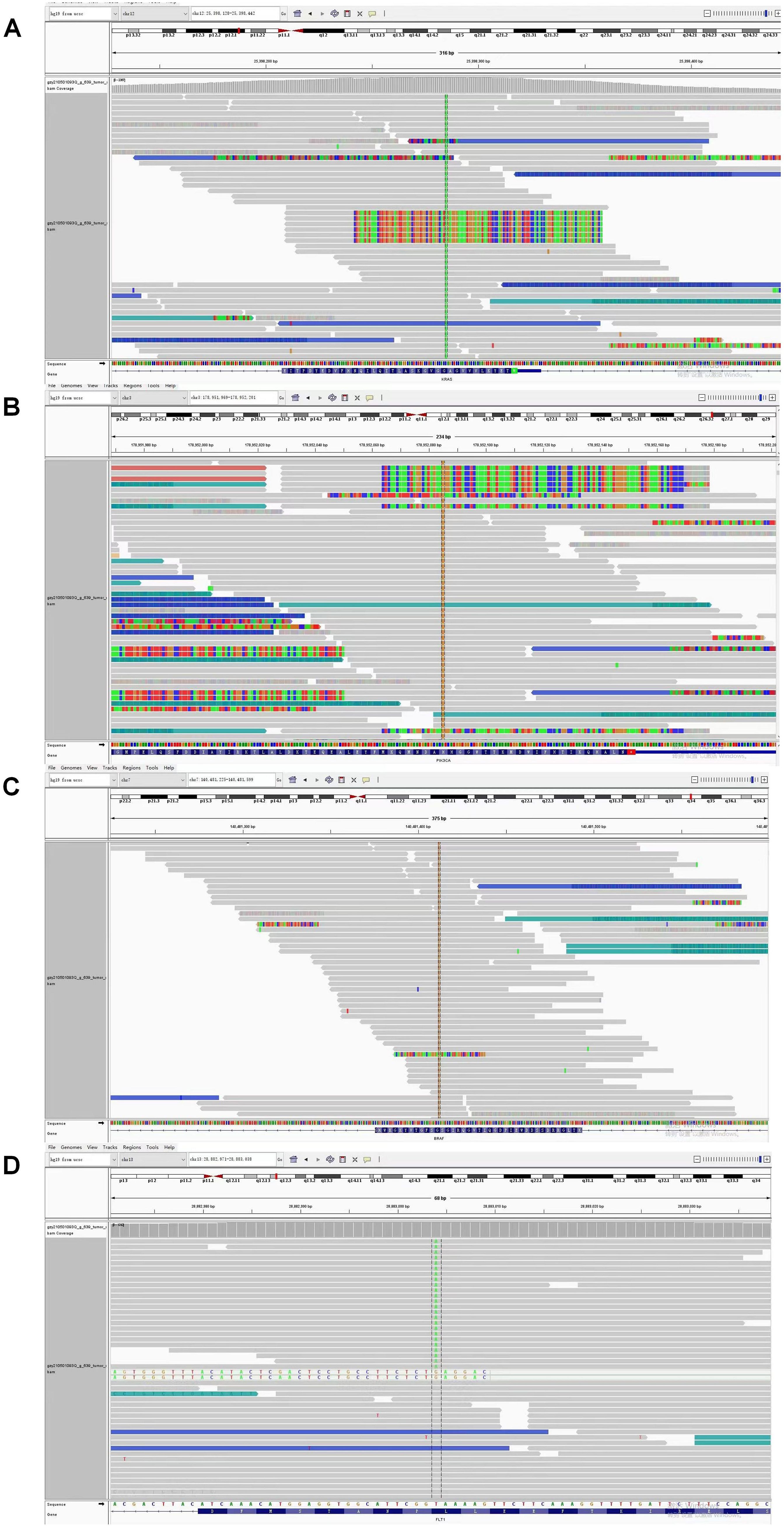 Genomic data visualization showing read alignments across four panels labeled A through D. Each panel displays aligned reads with colored bases indicating variations and gray bars showing coverage. Panels feature different zoom levels and genomic regions, highlighting differences in data density and sequence variations.