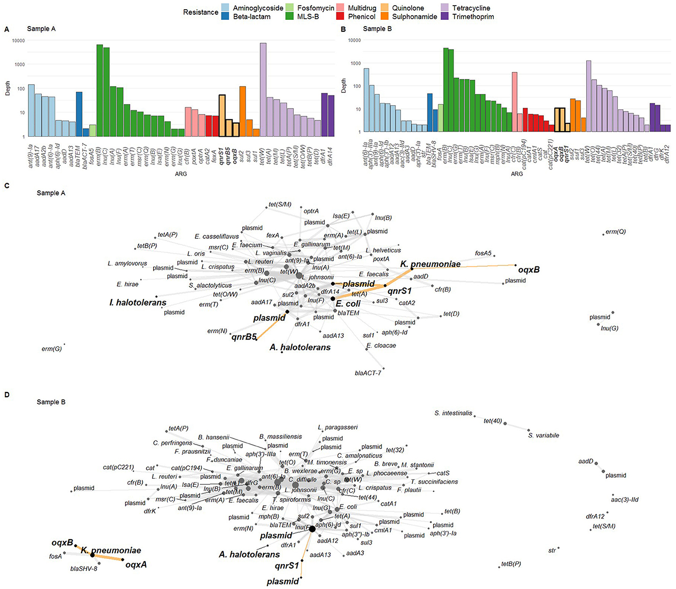 Bar charts and network graphs comparing antibiotic resistance genes in samples A and B. The bar charts (top) show distribution of various resistance genes by type, including aminoglycosides and beta-lactams, with different color coding. The network graphs (bottom) map associations between bacterial species and resistance genes, highlighting connections between Fluoroquinolone resistance genes and their hosts.