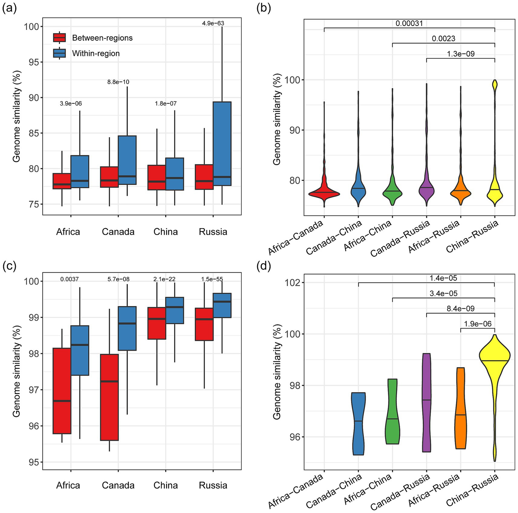 Four panels show genome similarity data:(a) Box plots compare within-region and between-region genome similarities across Africa, Canada, China, and Russia, with significance values.(b) Violin plots illustrate genome similarity distributions between regions, labeled with significance values. (c) Another set of box plots compares within-region and between-region similarities for the same regions, focusing on higher similarity percentages with p-values.(d) Violin plots show genome similarity distributions between regions with significance across a slightly different scale.