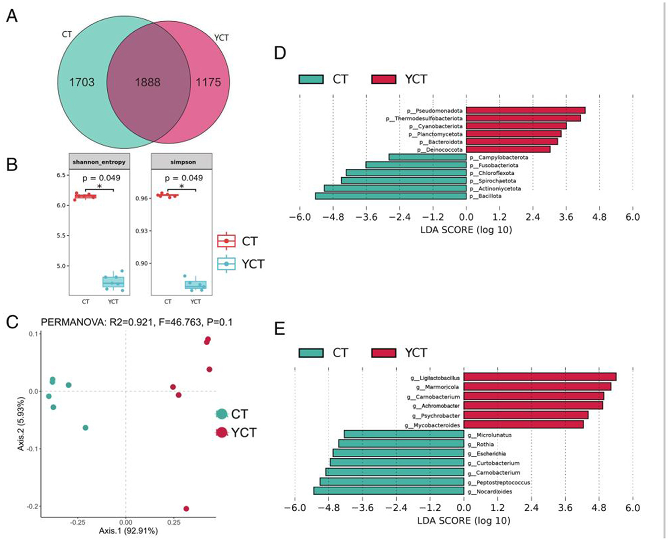 A series of charts and graphs showing microbial diversity and distribution in CT and YCT groups. (A) Venn diagram with three sections: 1703 unique to CT, 1888 common, 1175 unique to YCT. (B) Boxplots for Shannon entropy and Simpson index reveal differences between CT and YCT with p-value 0.049. (C) PERMANOVA plot showing sample distribution, R2=0.921, p-value=0.1. (D) Bar chart of phylum-level LDA scores; YCT shows greater levels in Pseudomonadota. (E) Genus-level LDA scores; YCT has elevated levels in Lactobacillus and Marmoricola.