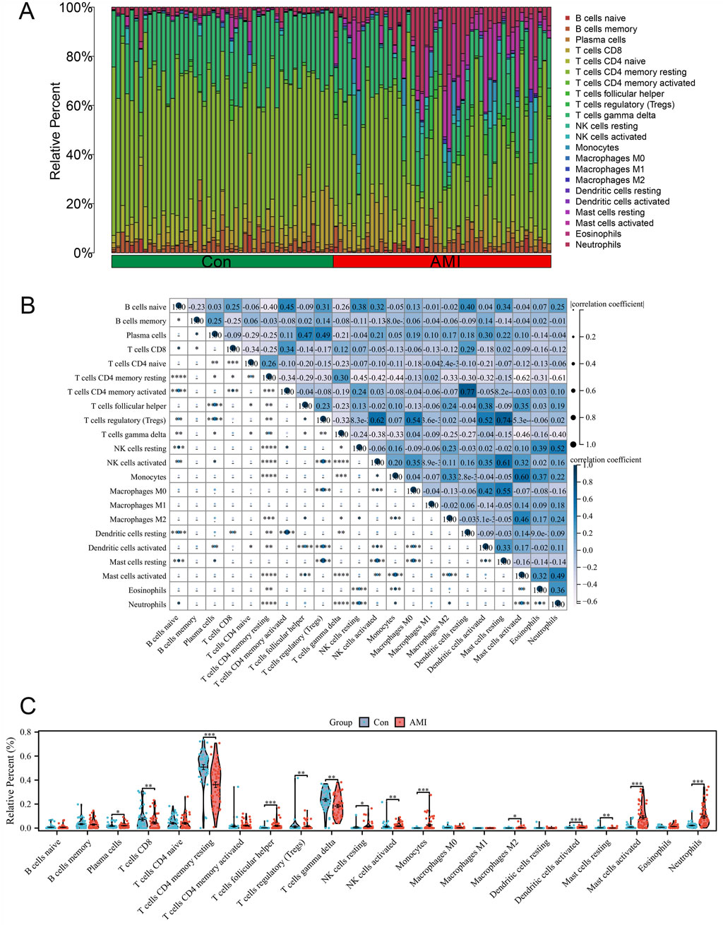 A series of charts analyze immune cell populations in control (Con) and acute myocardial infarction (AMI) groups. Panel A shows a stacked bar chart comparing relative percentages of various immune cells. Panel B features a correlation matrix of immune cell types, with color-coded correlation coefficients. Panel C presents a violin plot illustrating differences in cell proportions between Con and AMI groups, highlighting statistical significance with asterisks.