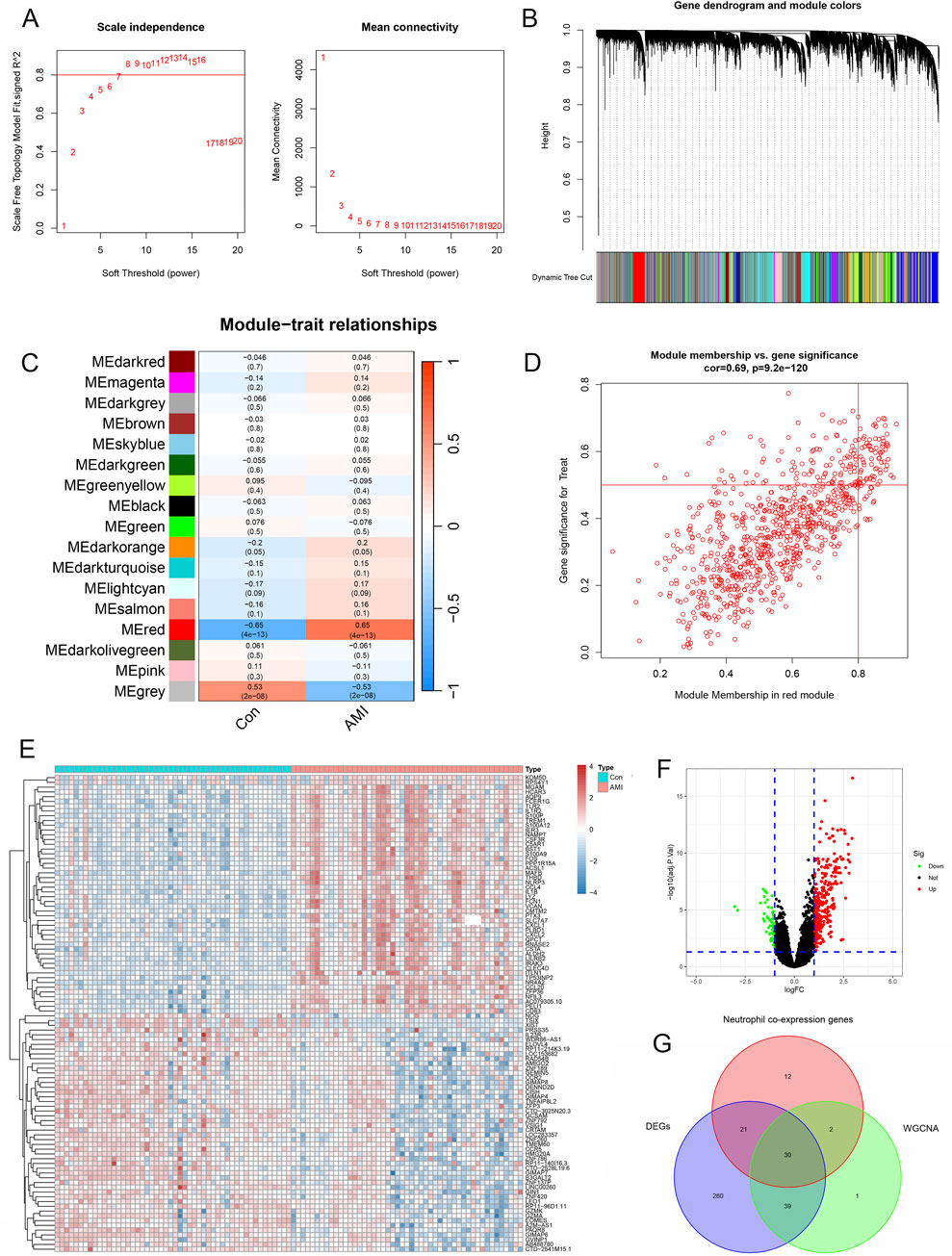 A multi-panel figure illustrating gene expression analysis using various data visualizations: A: Two scatter plots showing scale independence and mean connectivity at different soft threshold power levels. B: A gene dendrogram with colored modules indicating clusters. C: A heatmap displaying module-trait relationships with color-coded correlations. D: A scatter plot of module membership versus gene significance for a specific module. E: A heatmap of gene expression data across samples, categorized by two conditions. F: A volcano plot showing differentially expressed genes. G: A Venn diagram illustrating overlaps among gene sets.