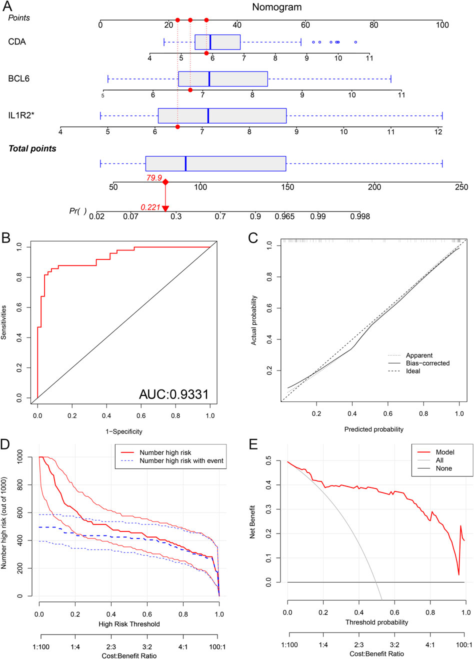 (A) A nomogram depicting the points assigned to CDA, BCL6, and IL1R2 with a total point score and probability. (B) ROC curve showing an AUC of 0.9331. (C) Calibration plot comparing apparent, bias-corrected, and ideal probabilities. (D) Decision curve analysis for high-risk thresholds. (E) Net benefit plot showing model performance versus all and none scenarios.