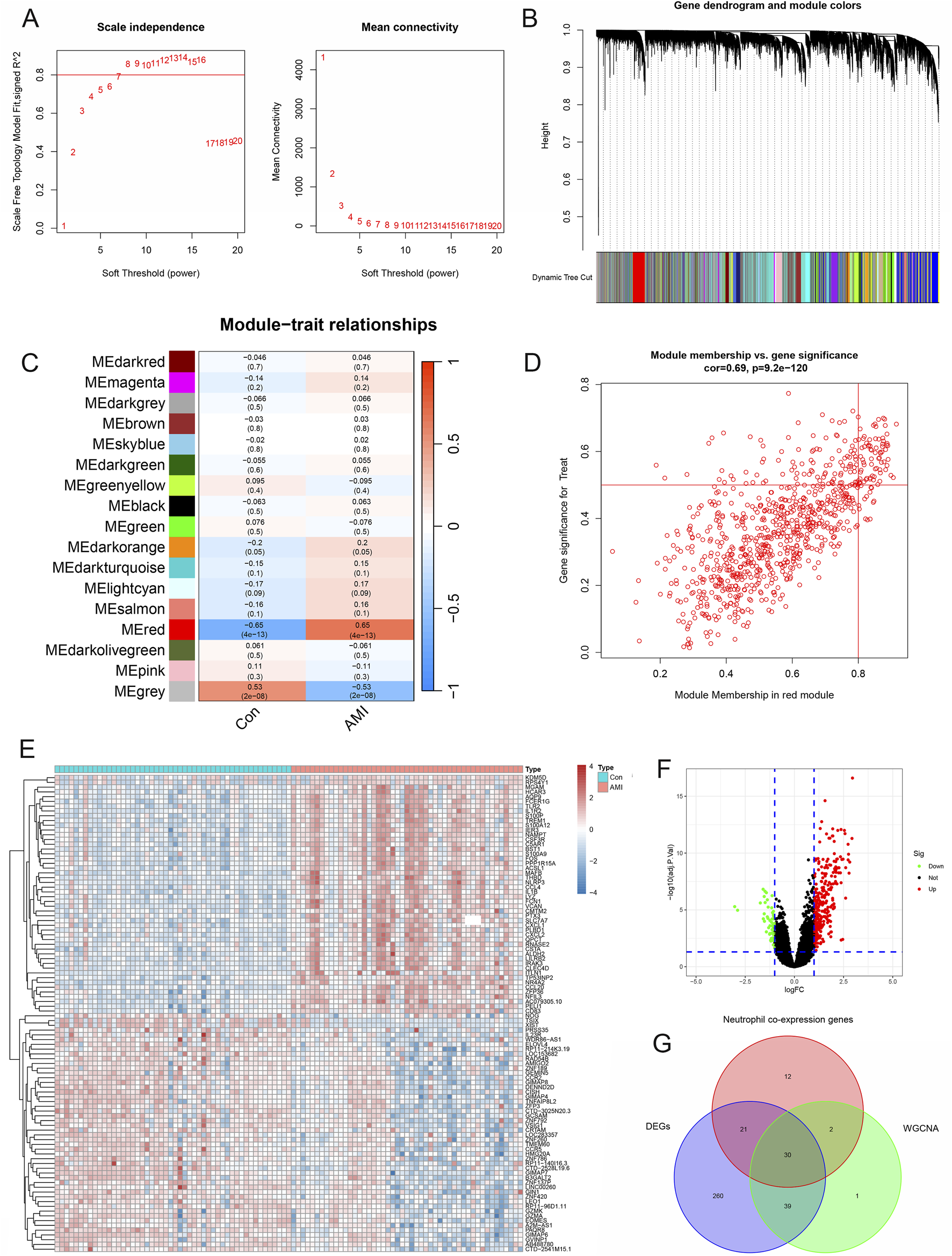 A multi-panel figure illustrating gene expression analysis using various data visualizations: A: Two scatter plots showing scale independence and mean connectivity at different soft threshold power levels. B: A gene dendrogram with colored modules indicating clusters. C: A heatmap displaying module-trait relationships with color-coded correlations. D: A scatter plot of module membership versus gene significance for a specific module. E: A heatmap of gene expression data across samples, categorized by two conditions. F: A volcano plot showing differentially expressed genes. G: A Venn diagram illustrating overlaps among gene sets.